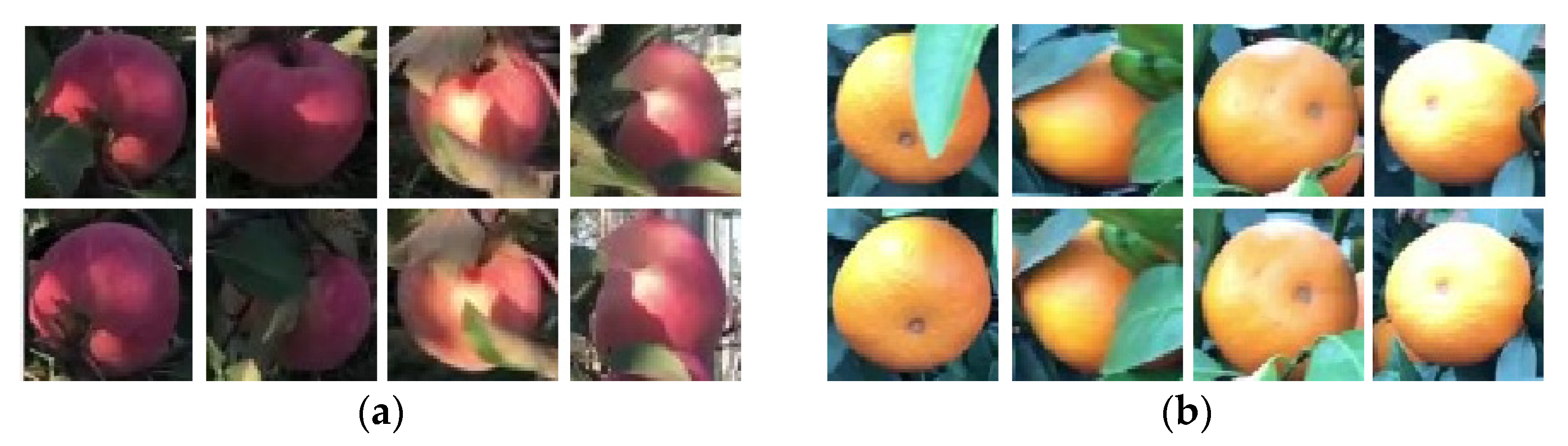 Agronomy 12 00440 g011