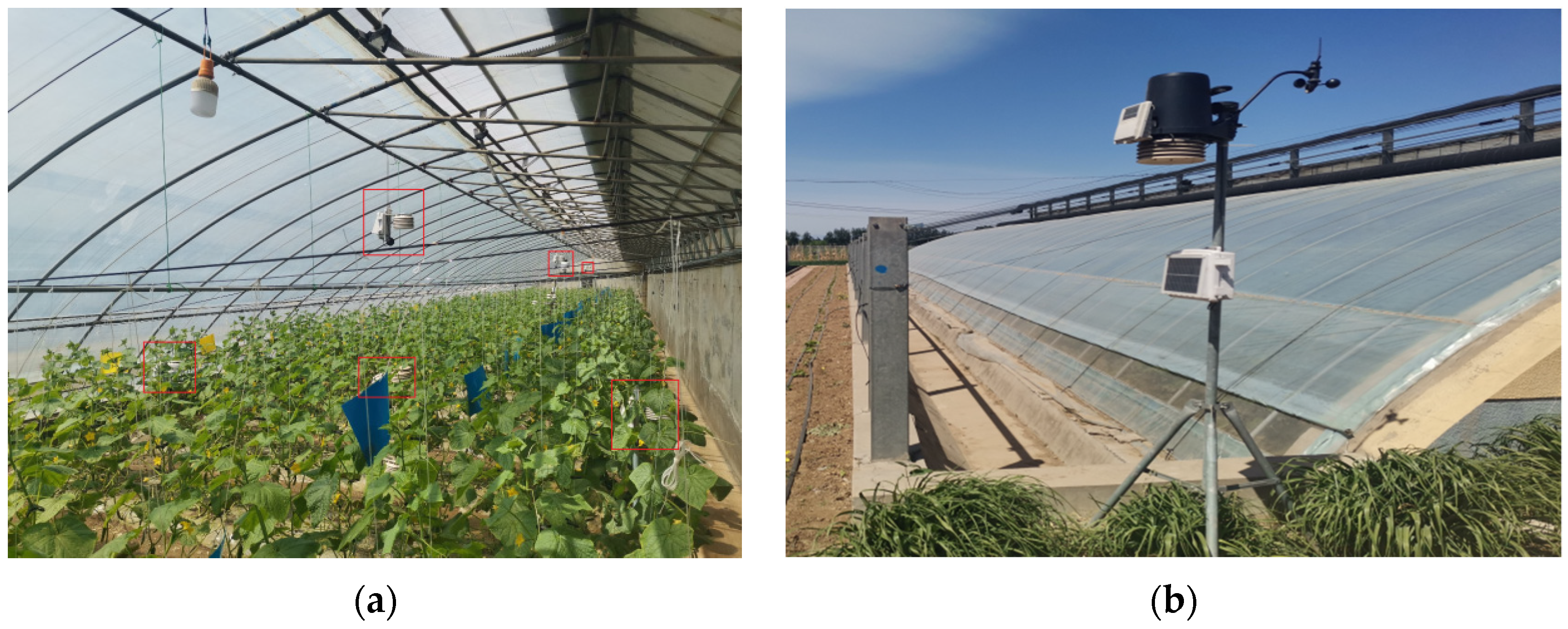 Agronomy 12 00442 g002