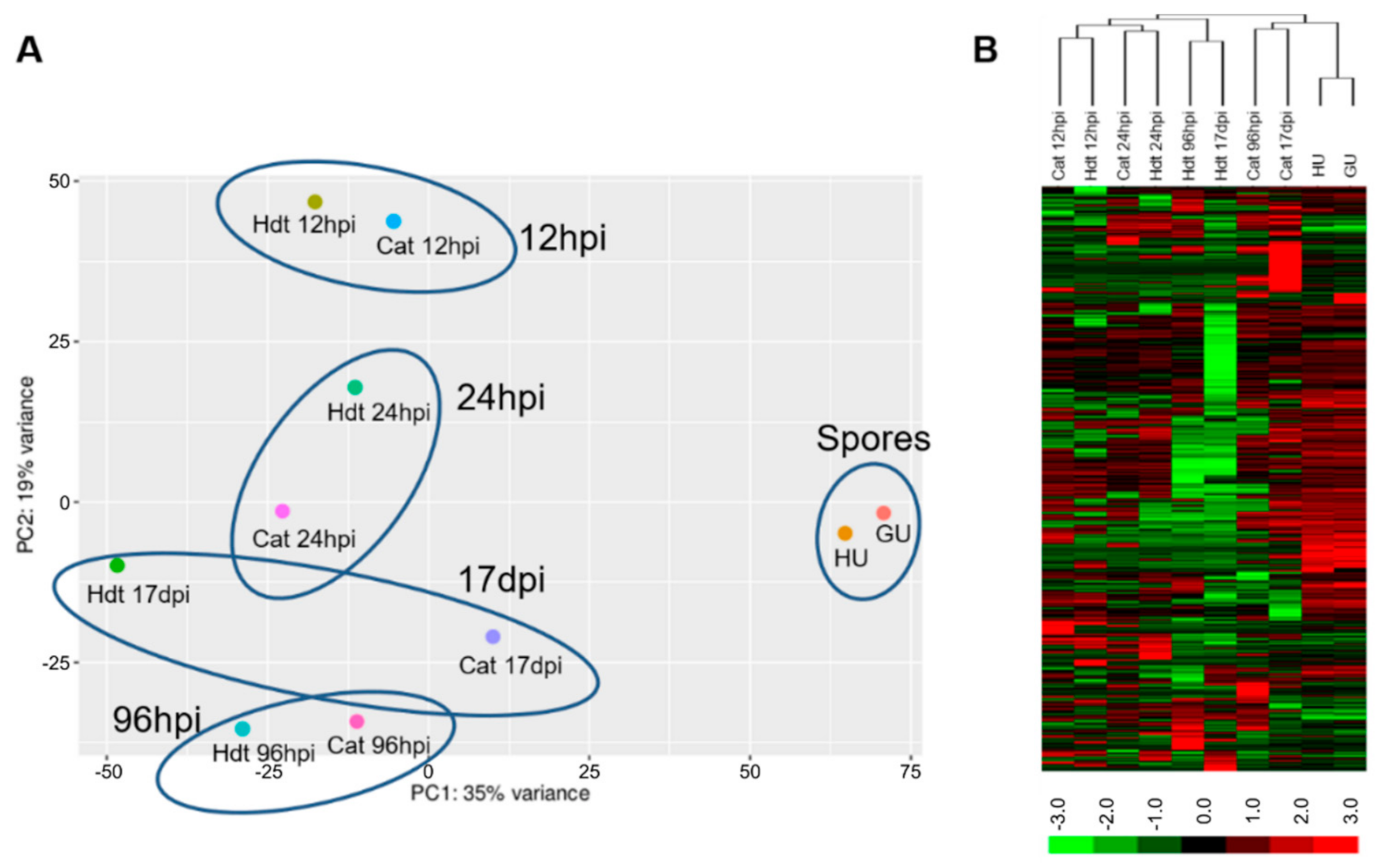 Agronomy 12 00444 g003