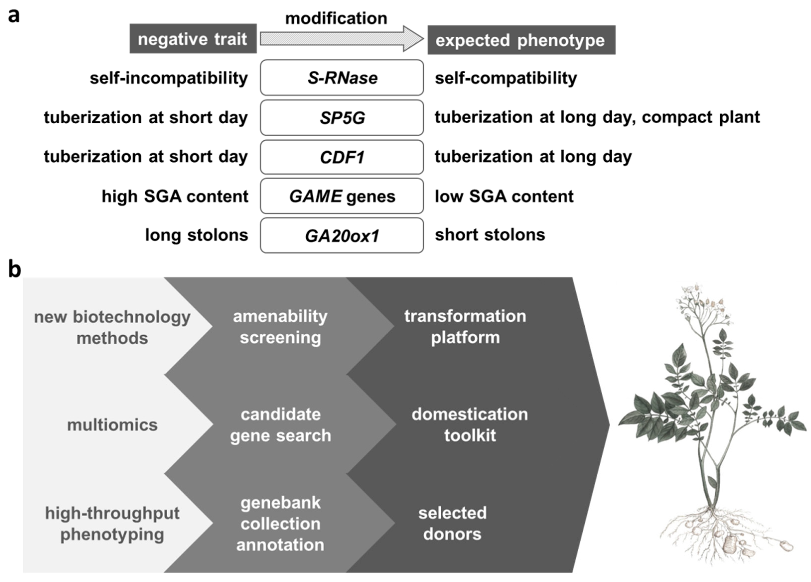 Agronomy 12 00462 g001 Agronomy 12 00462 g001
