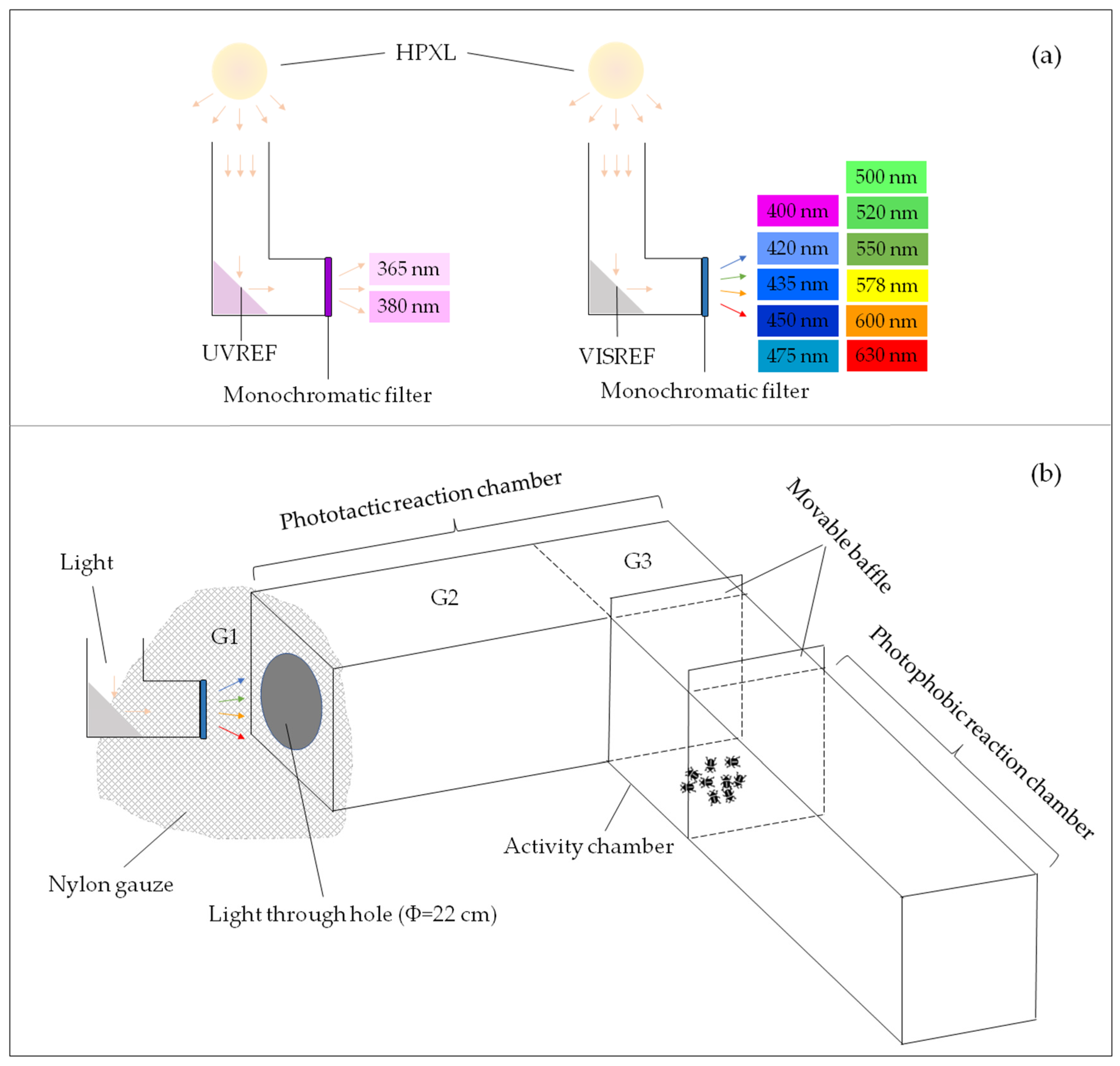 Agronomy 12 00481 g001