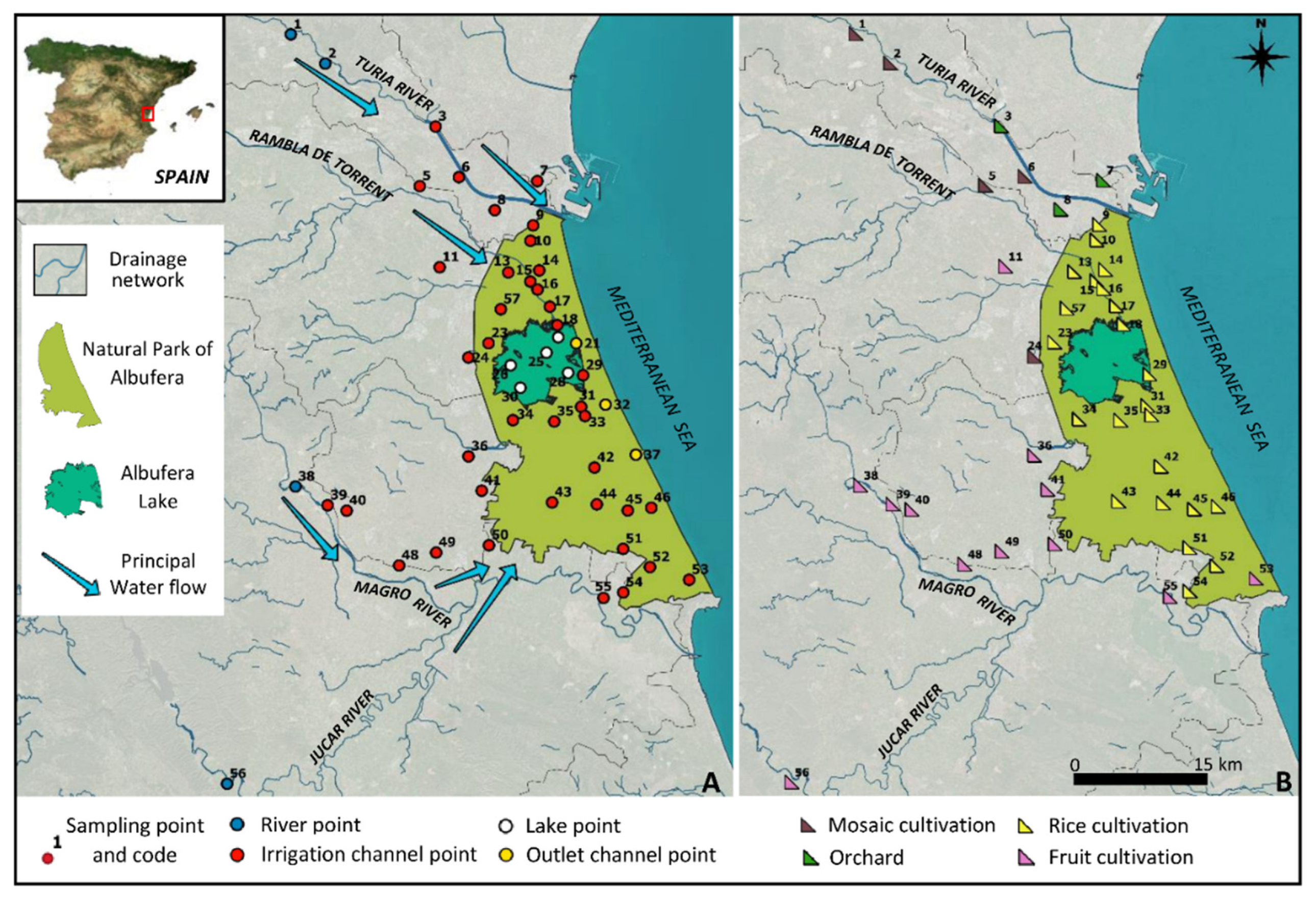 Agronomy 12 00486 g001