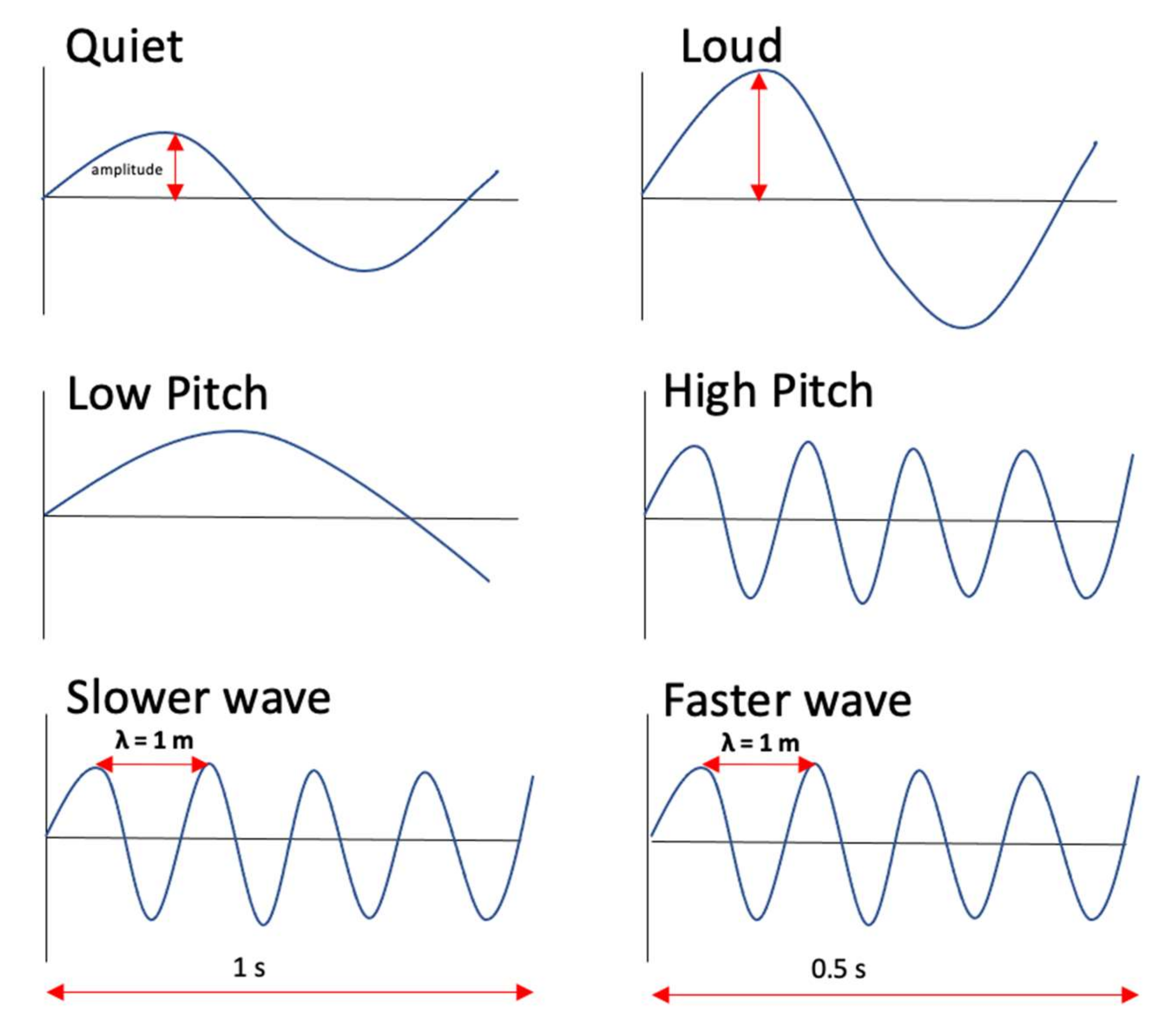 Agronomy 12 00518 g006