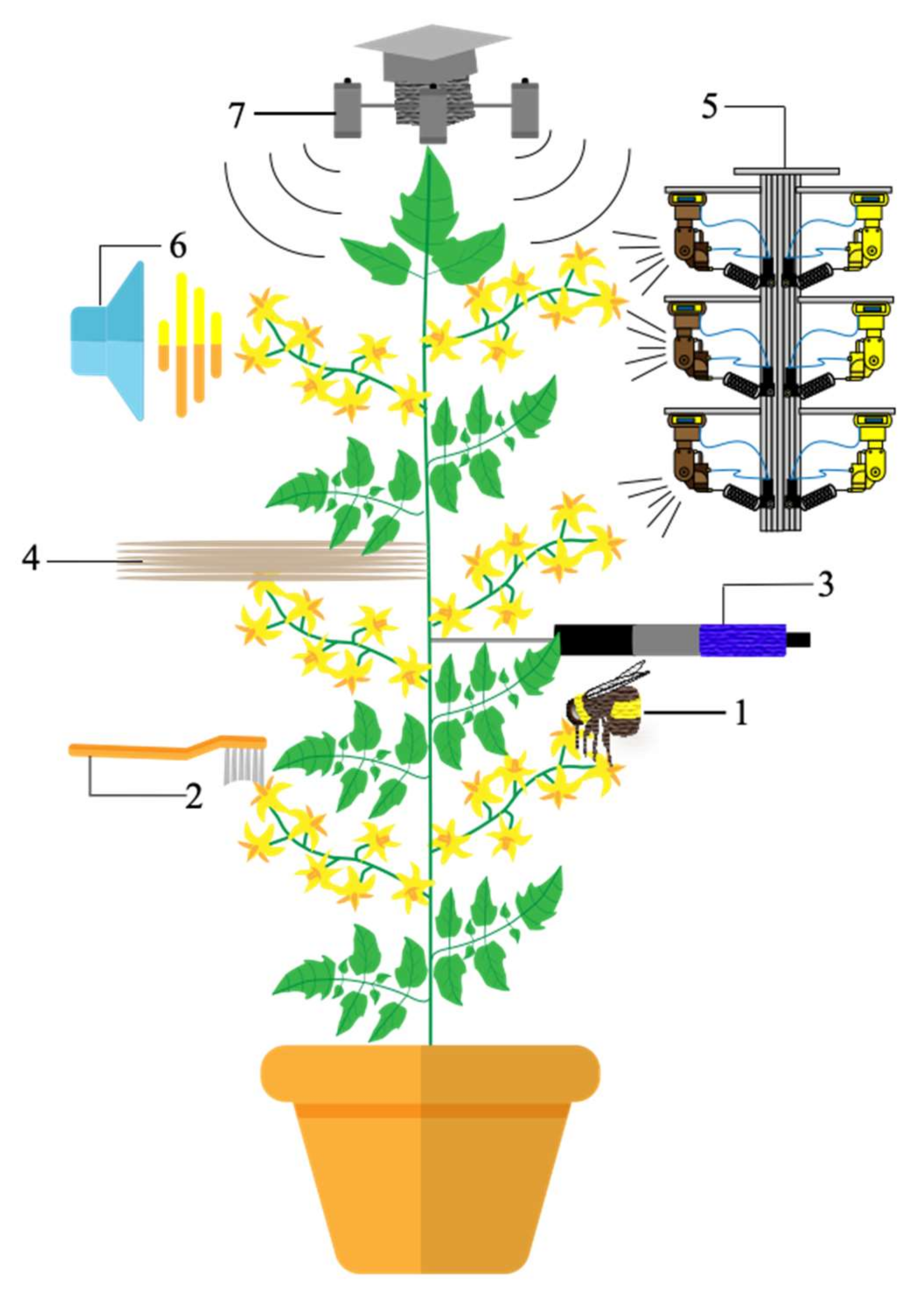 Agronomy 12 00518 g007