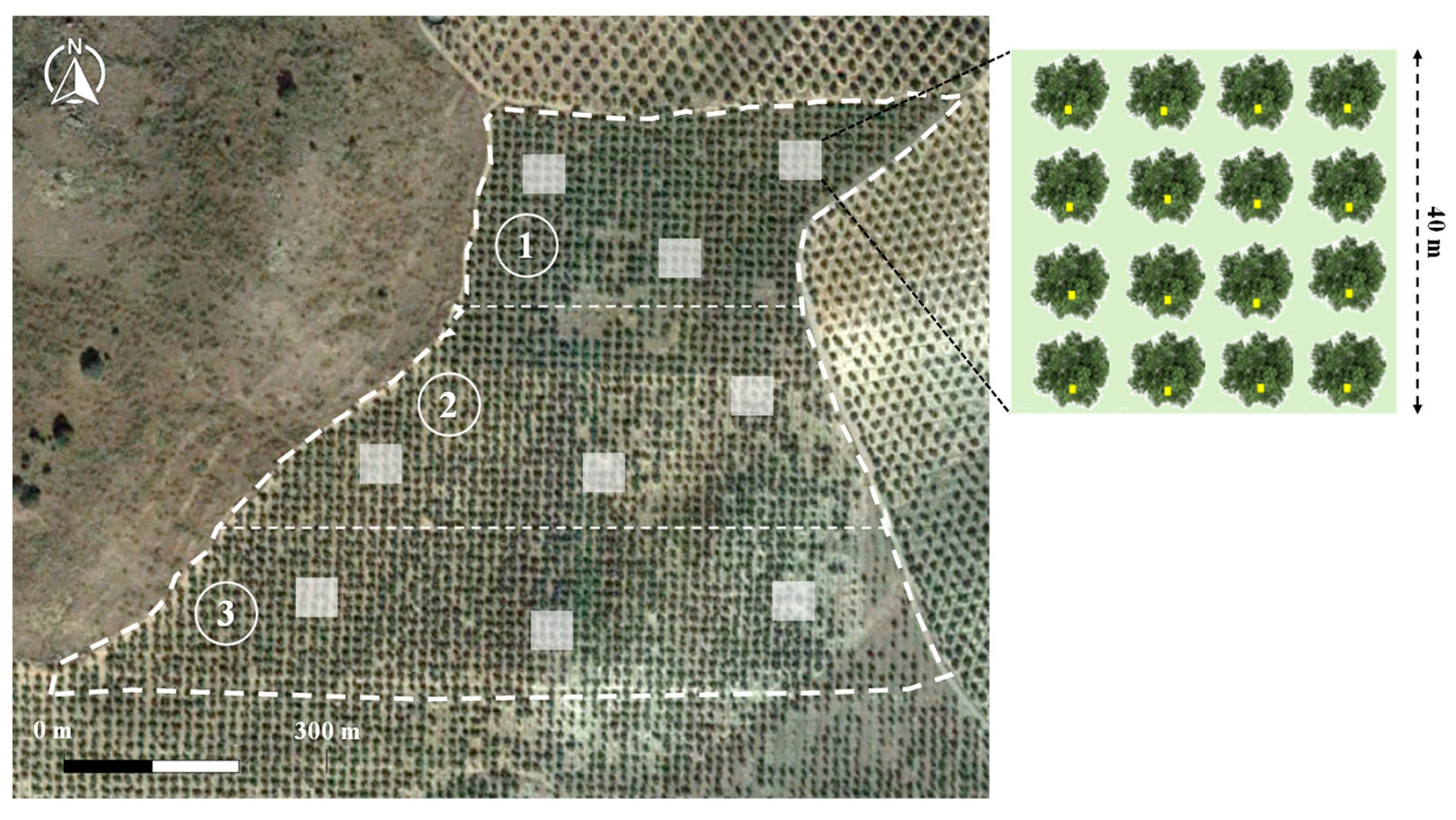 Agronomy 12 00538 g002