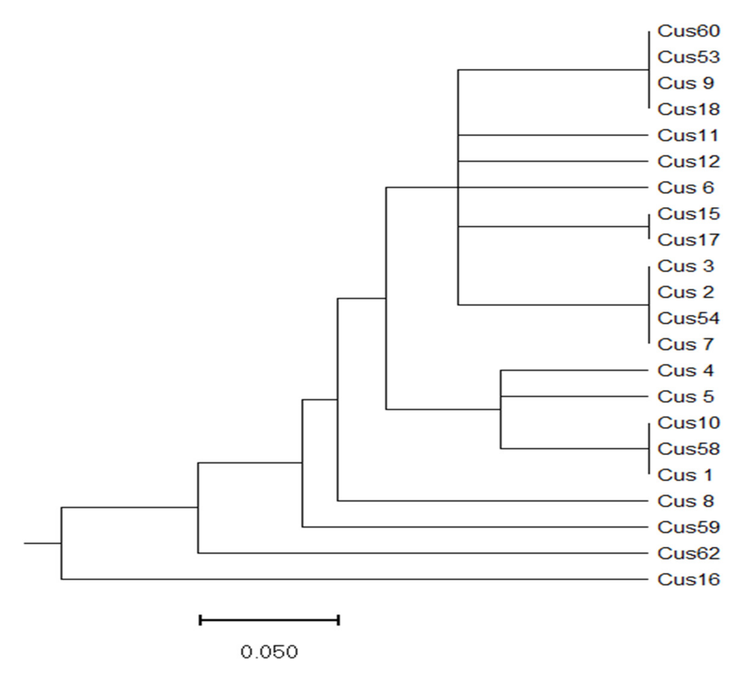Agronomy 12 00559 g006