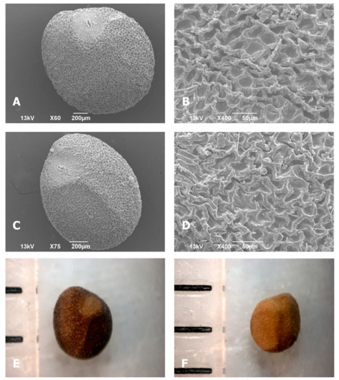 Agronomy 12 00559 g0a1 550