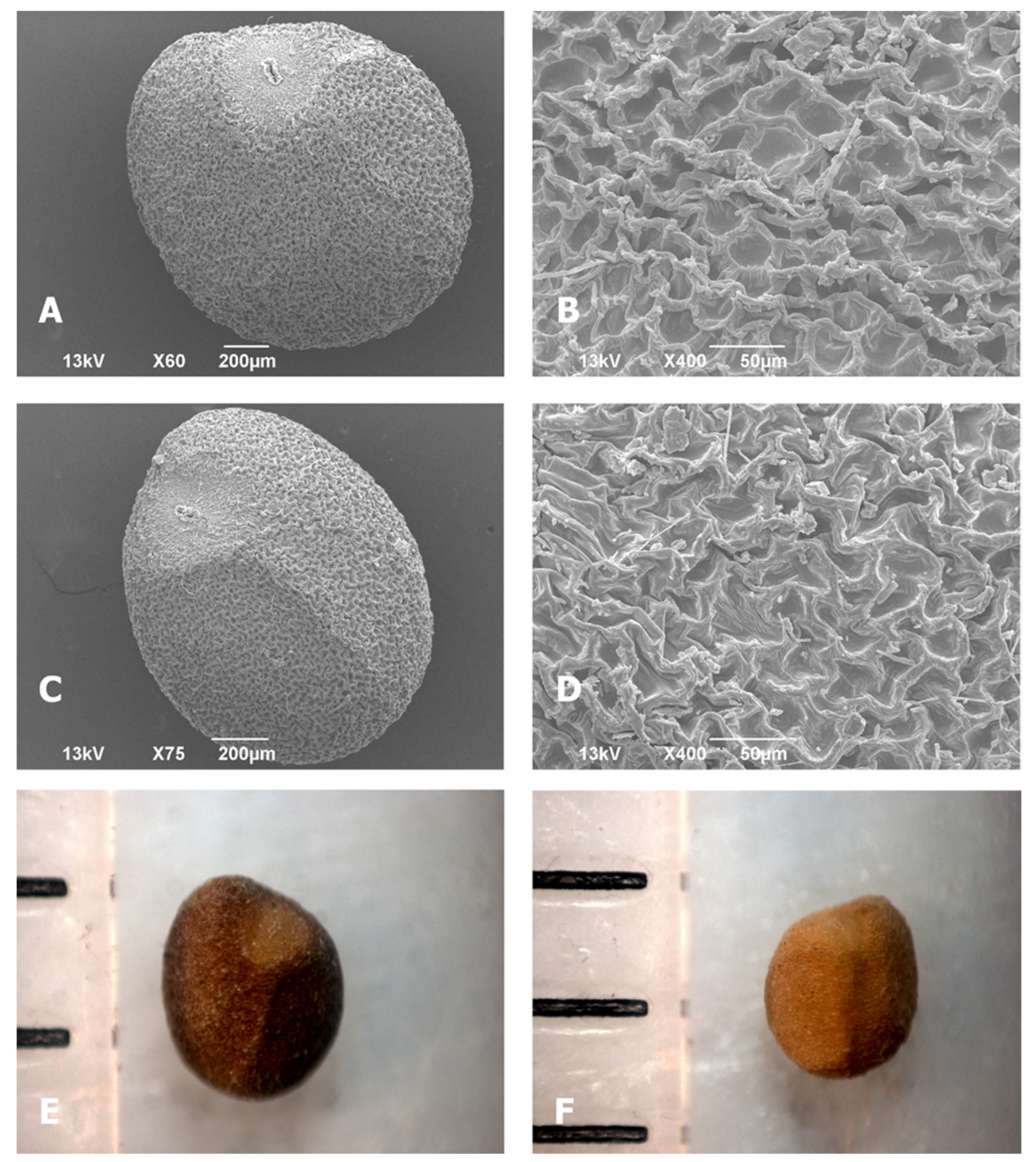 Agronomy 12 00559 g0a1
