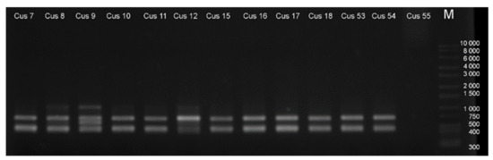 Agronomy 12 00559 g0a2 550