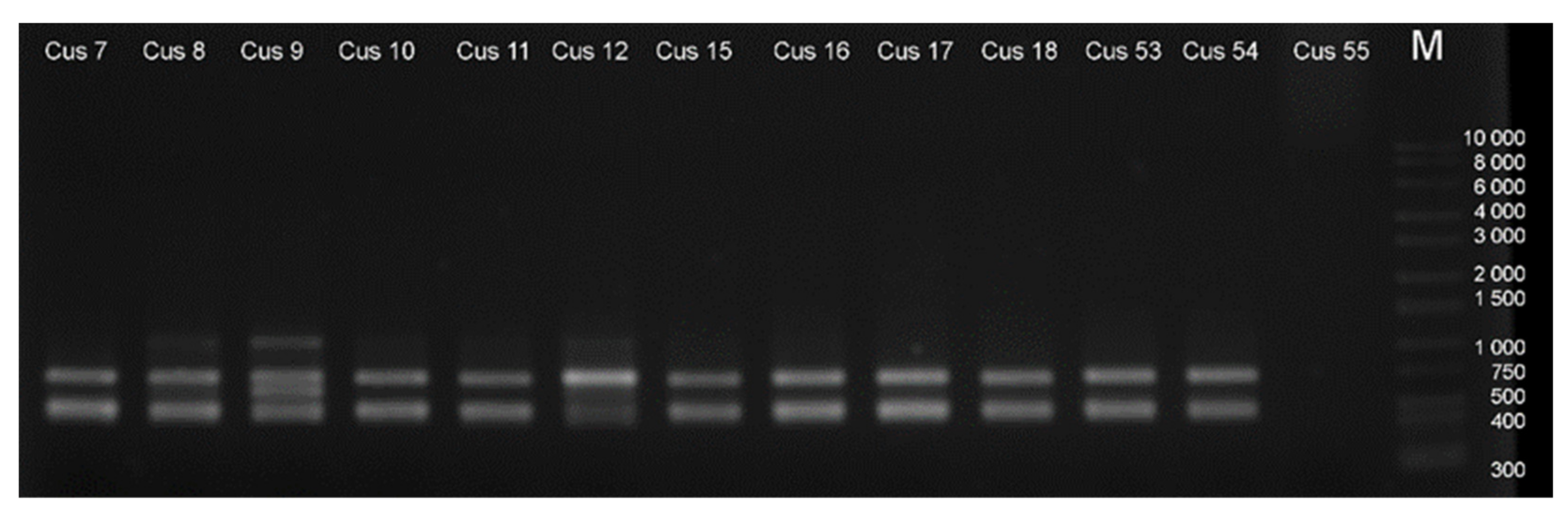 Agronomy 12 00559 g0a2
