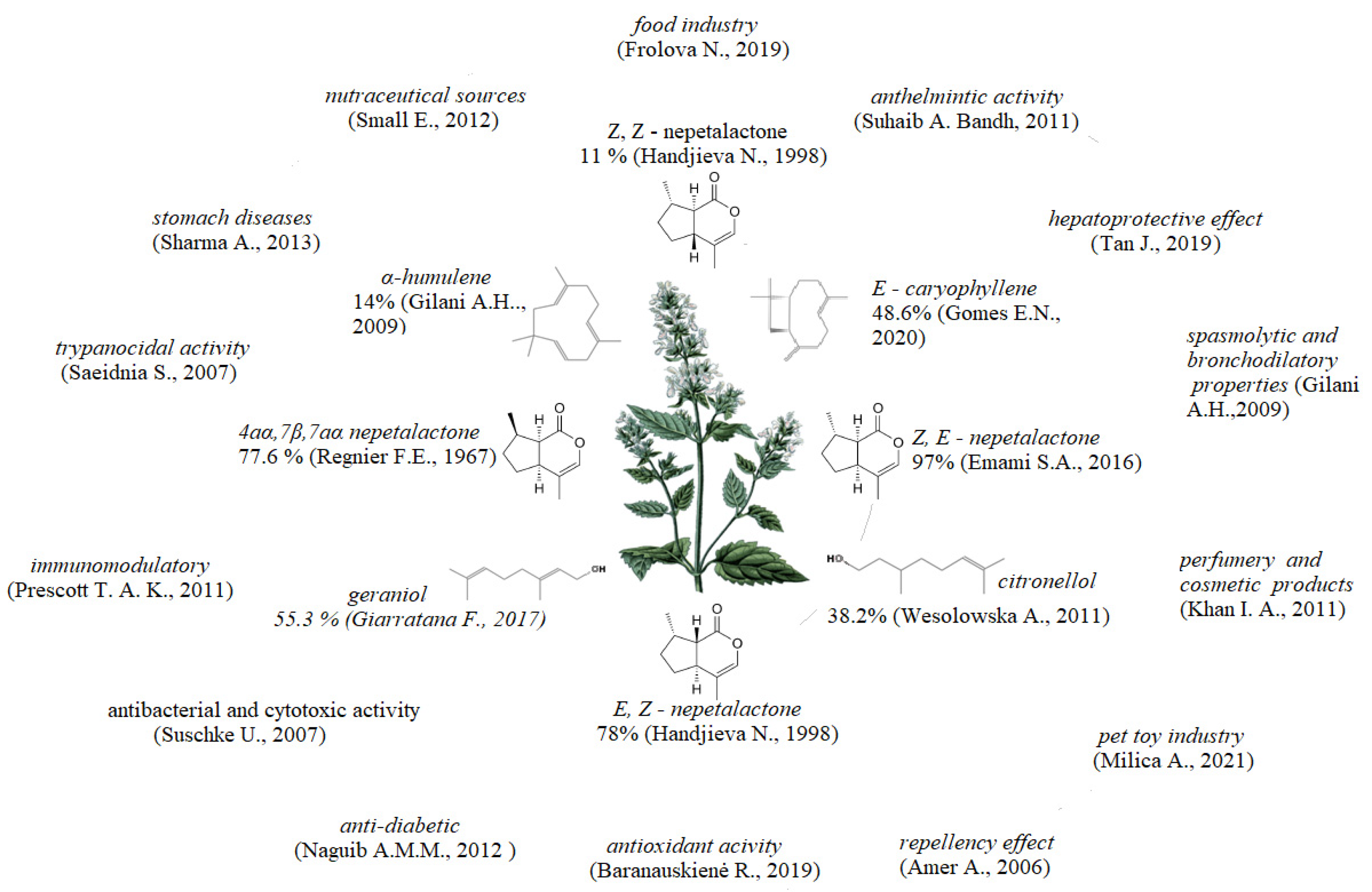 Agronomy 12 00562 g001