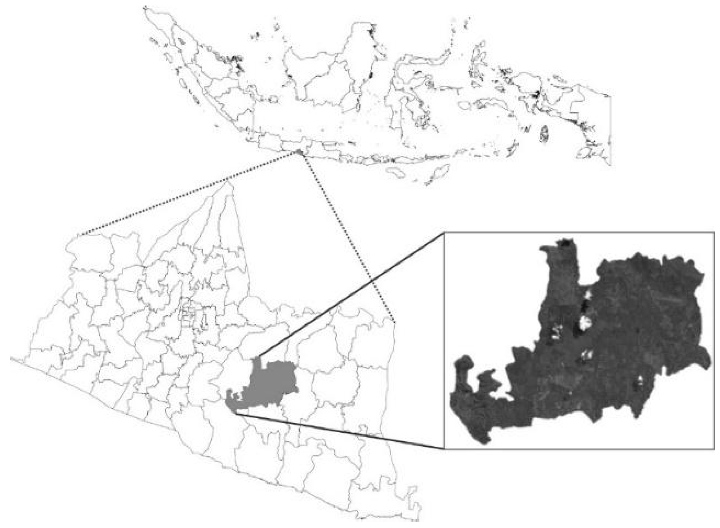 Agronomy 12 00564 g001