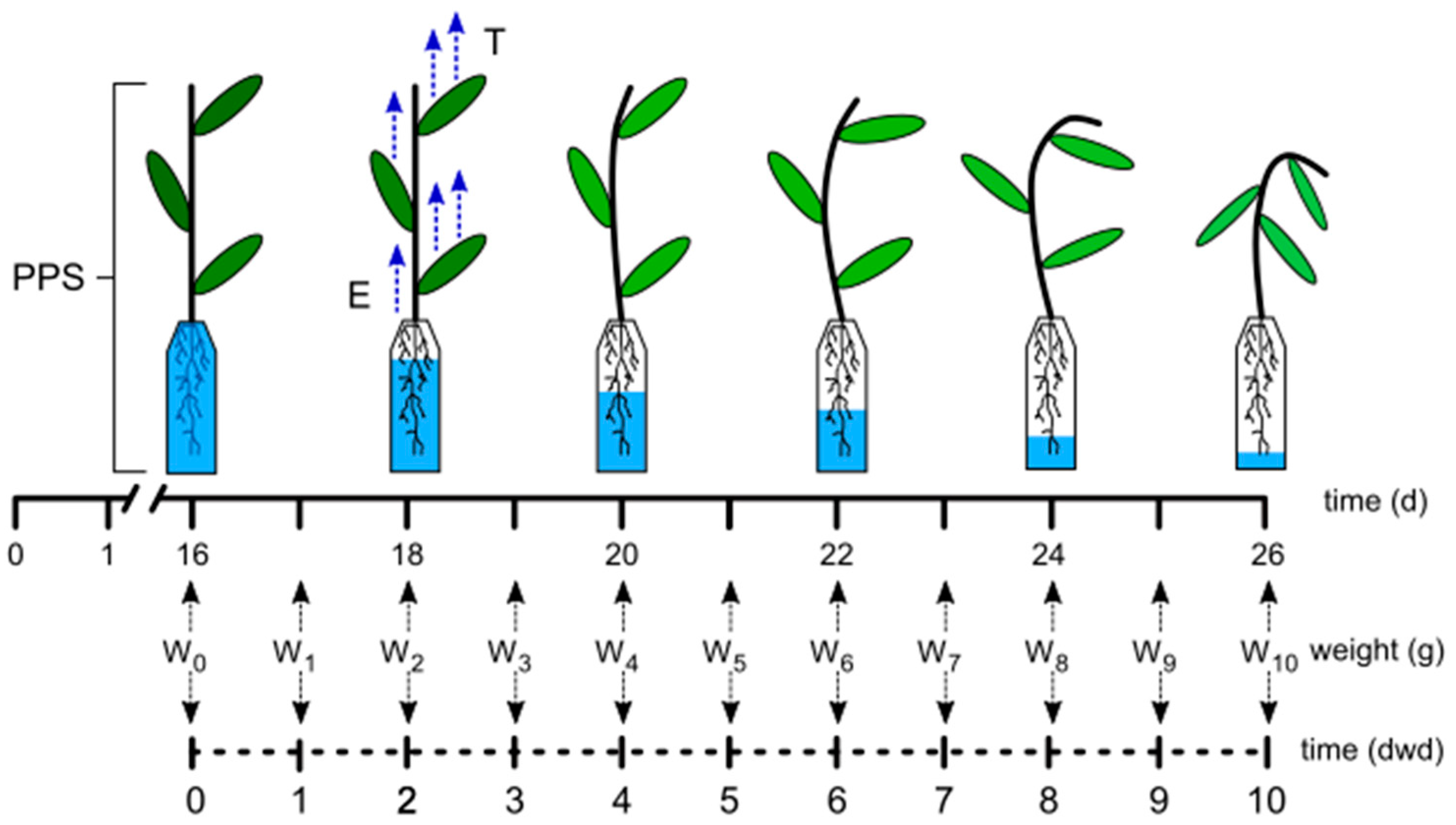 Agronomy 12 00575 g001
