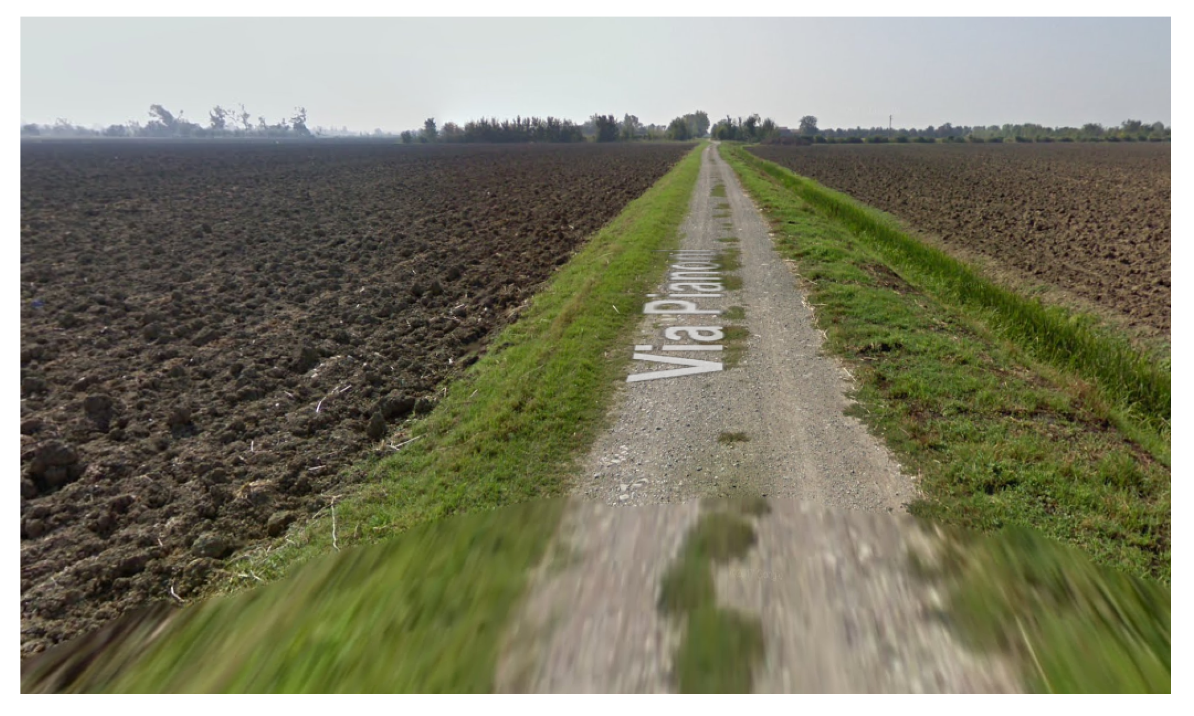 Agronomy 12 00590 g010