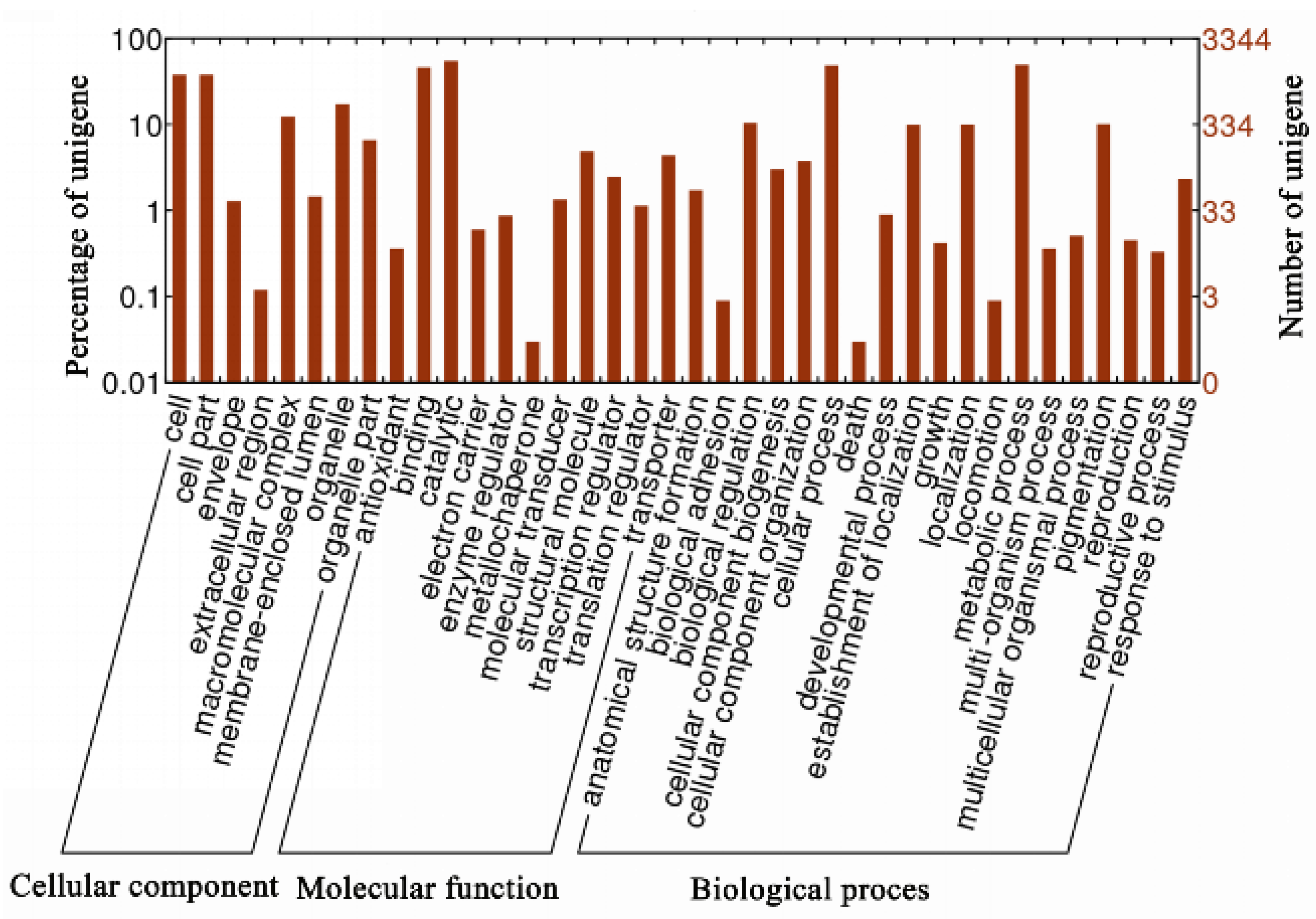 Agronomy 12 00599 g001