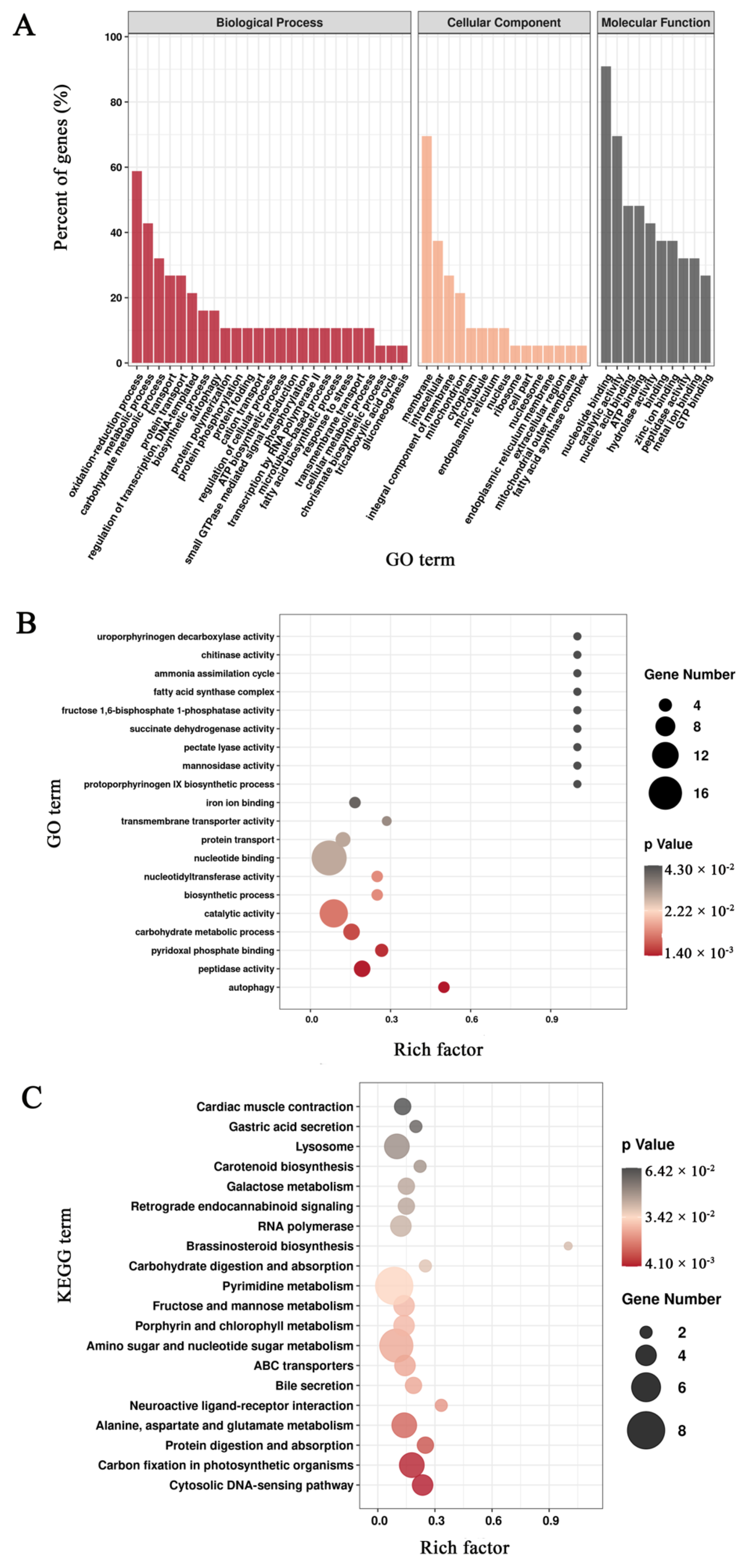 Agronomy 12 00599 g005