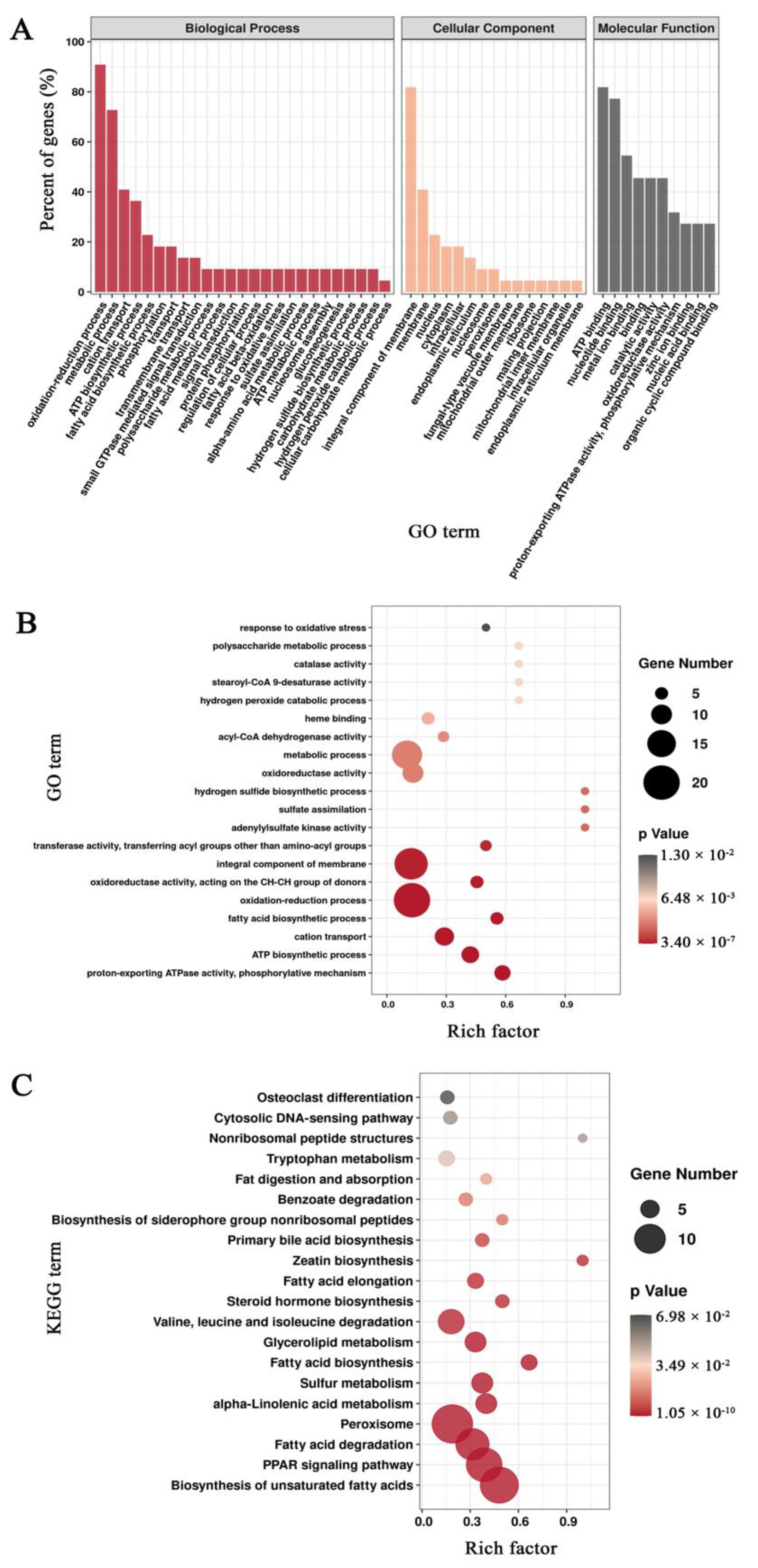 Agronomy 12 00599 g006