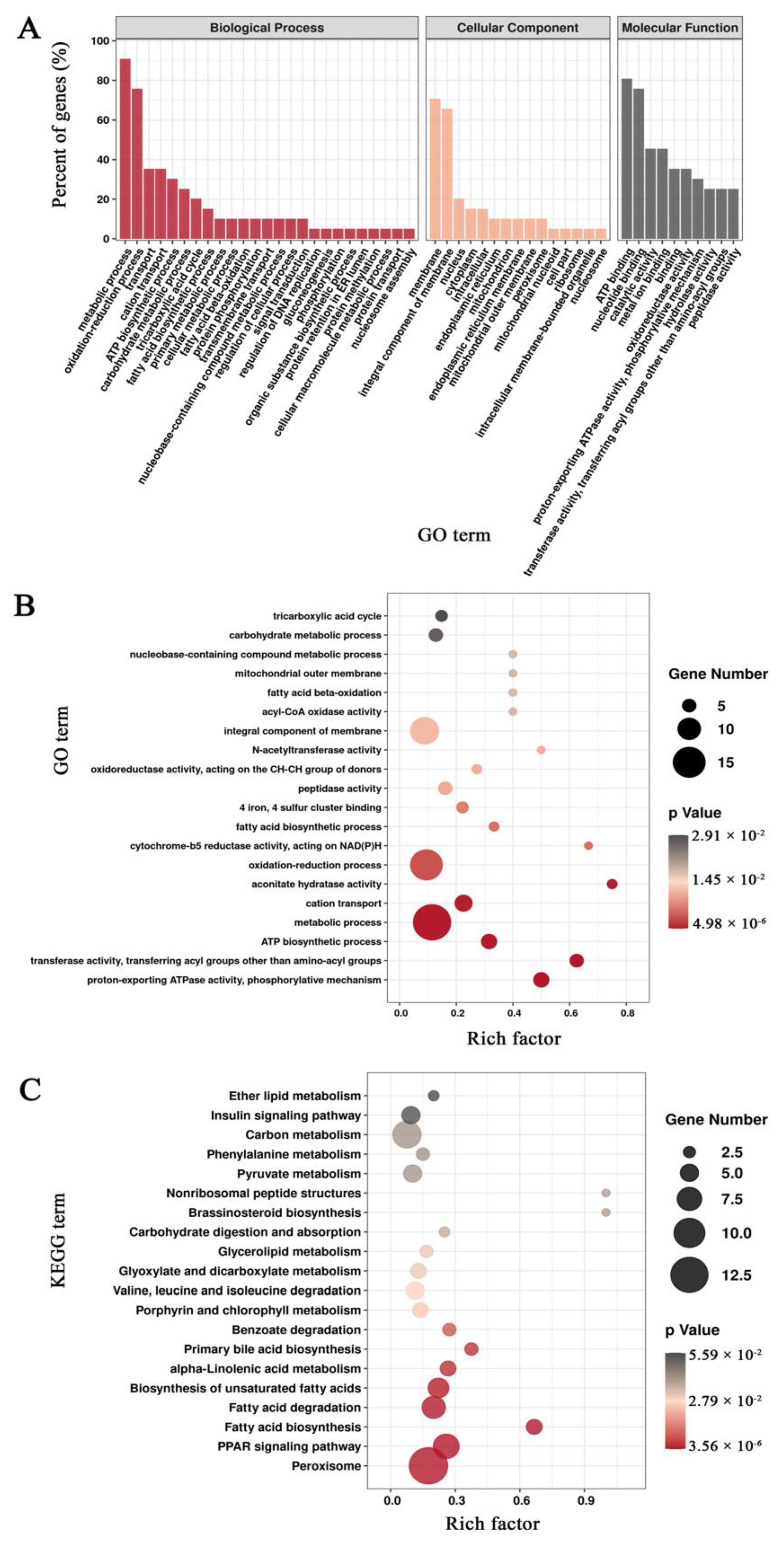 Agronomy 12 00599 g007