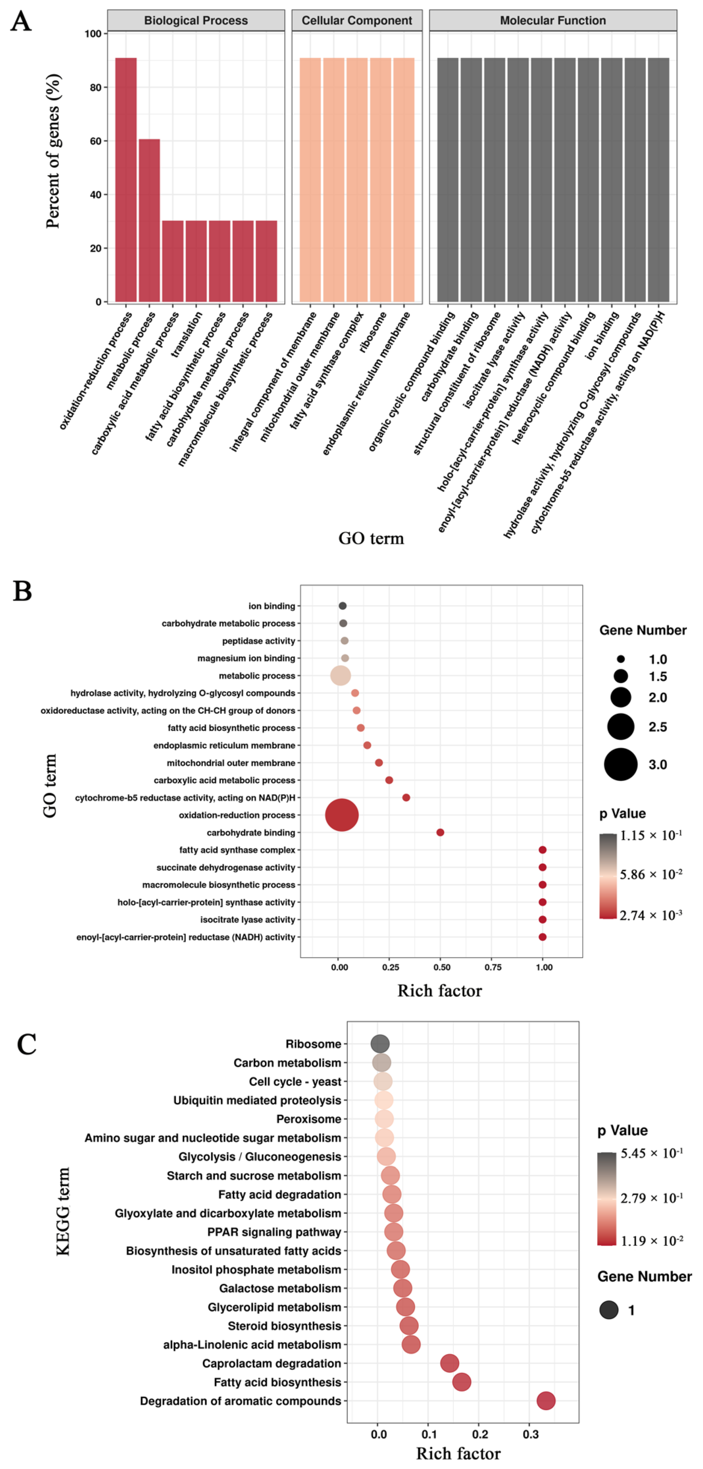 Agronomy 12 00599 g009