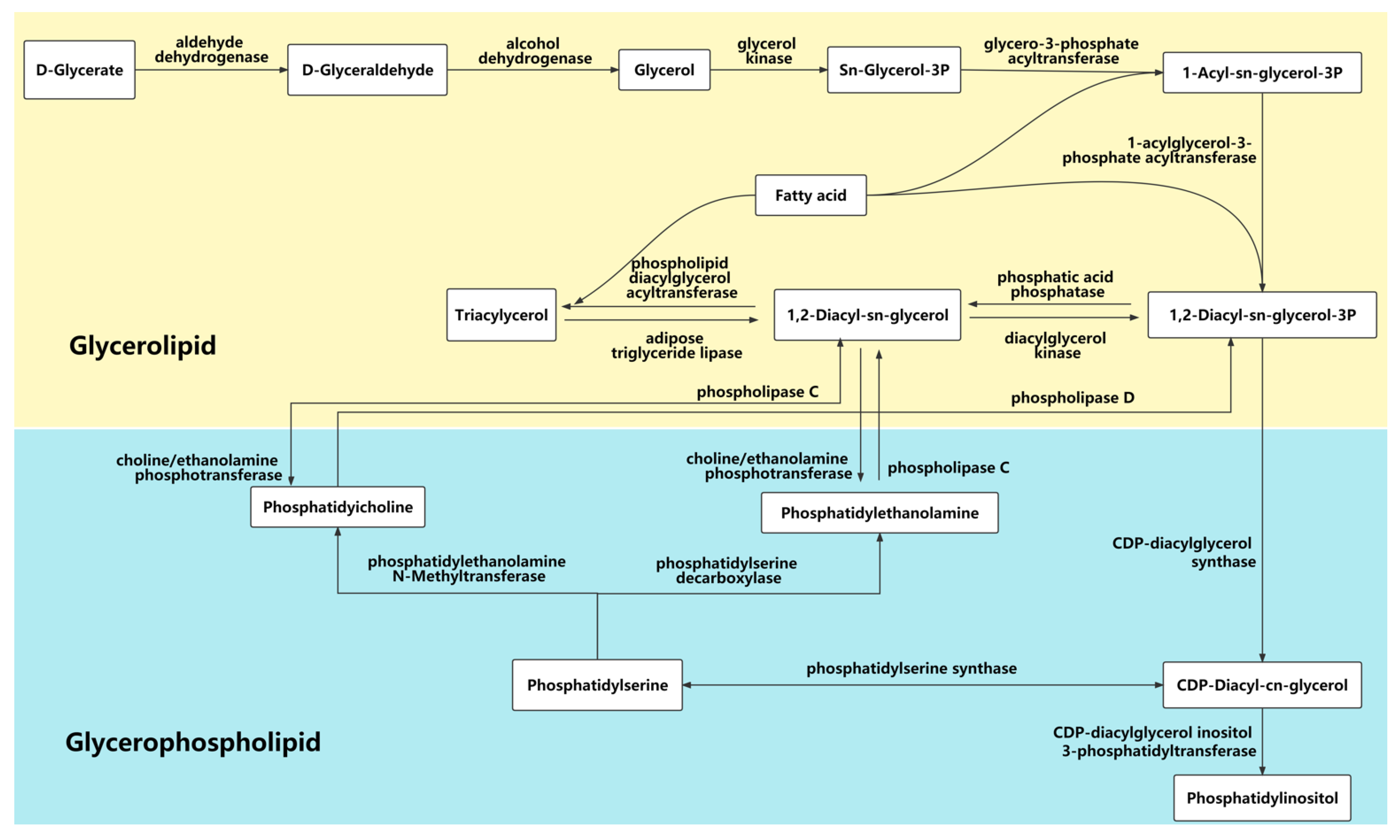 Agronomy 12 00599 g012