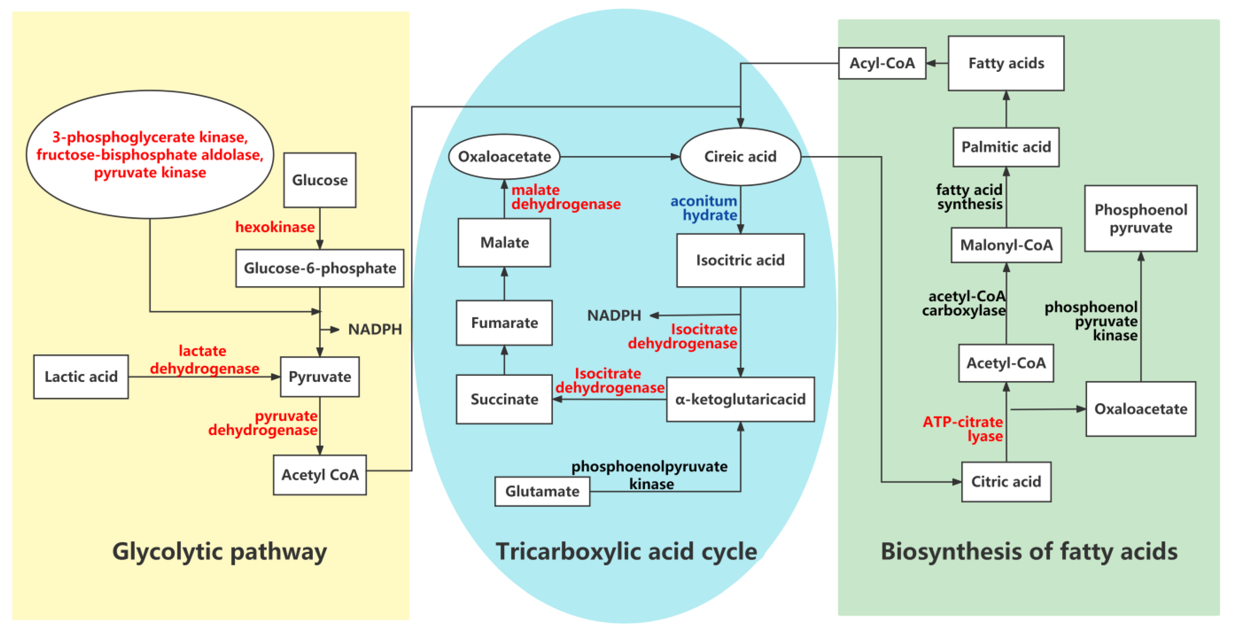 Agronomy 12 00599 g013