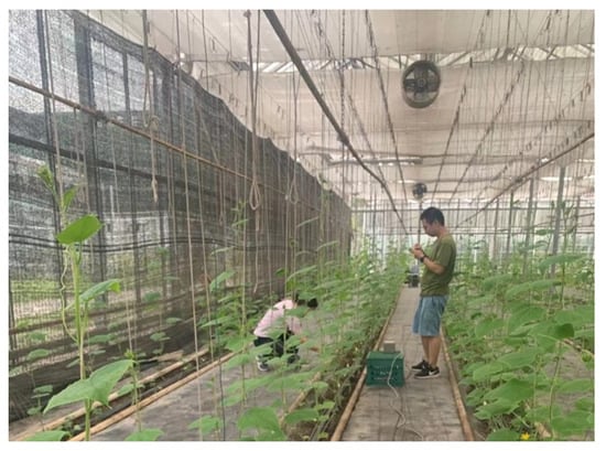 Agronomy 12 00602 g0a2 550