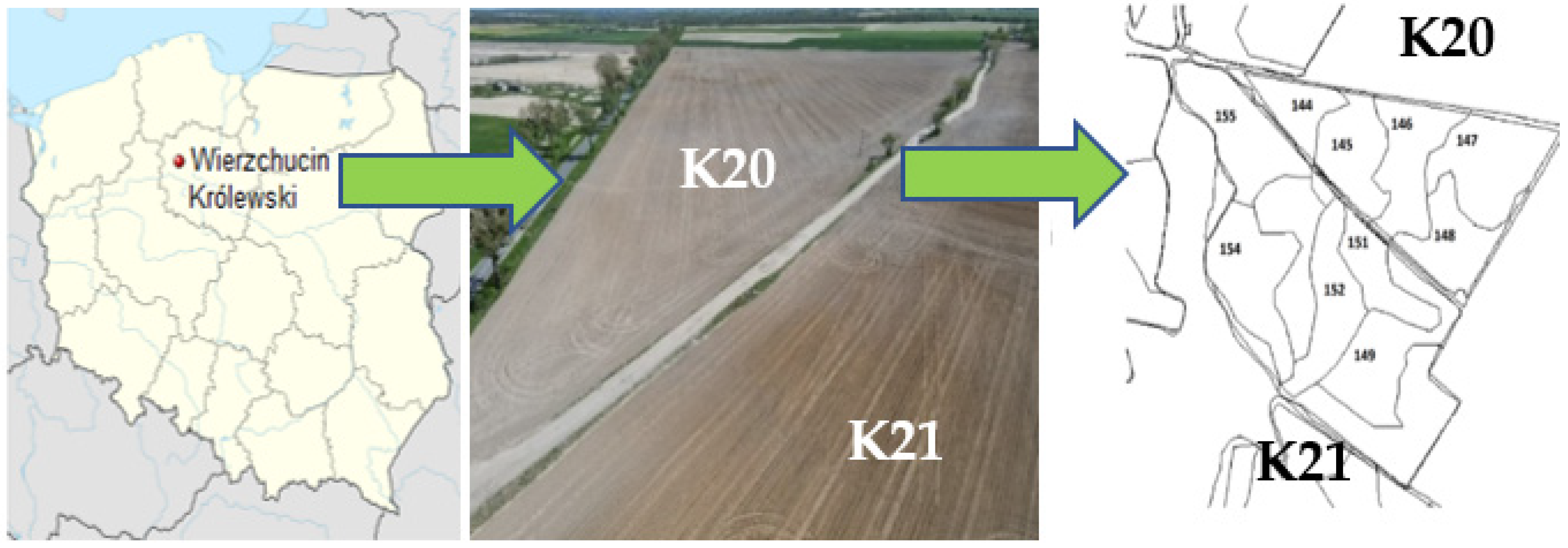 Agronomy 12 00613 g001