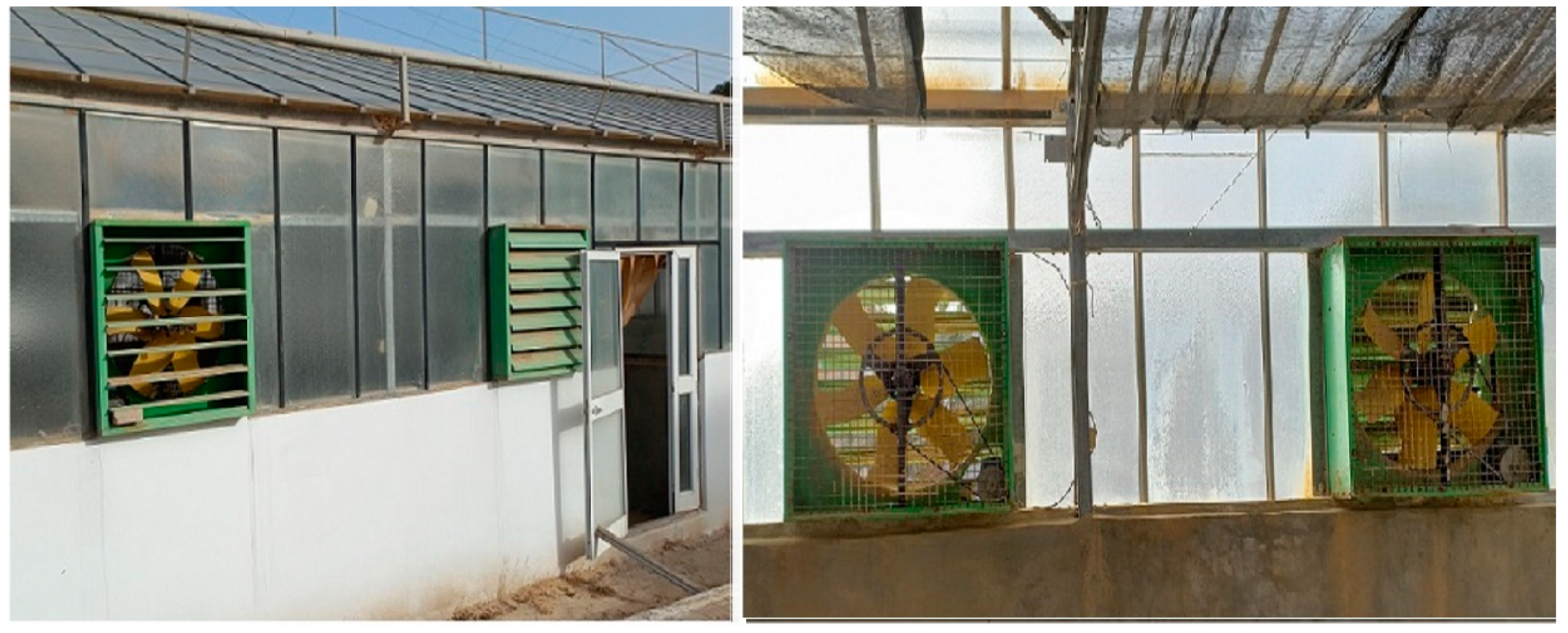 Agronomy 12 00626 g003