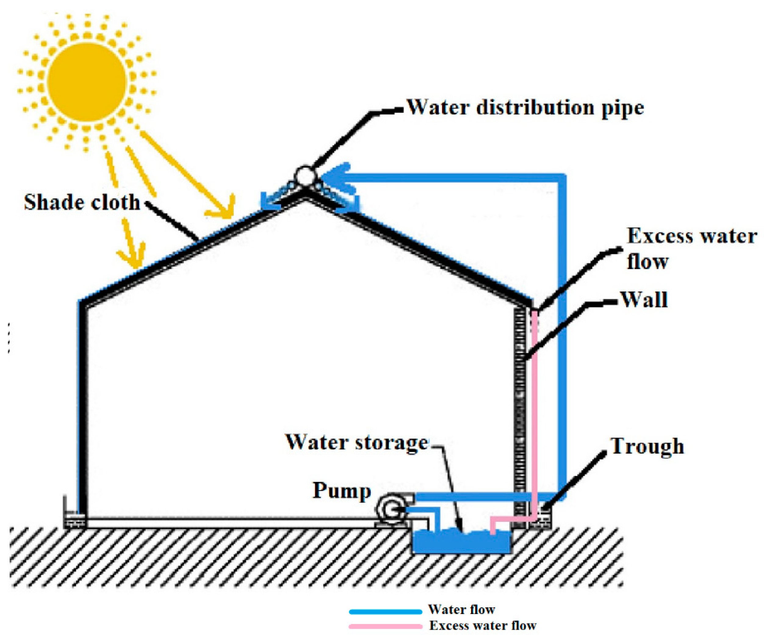 Agronomy 12 00626 g006