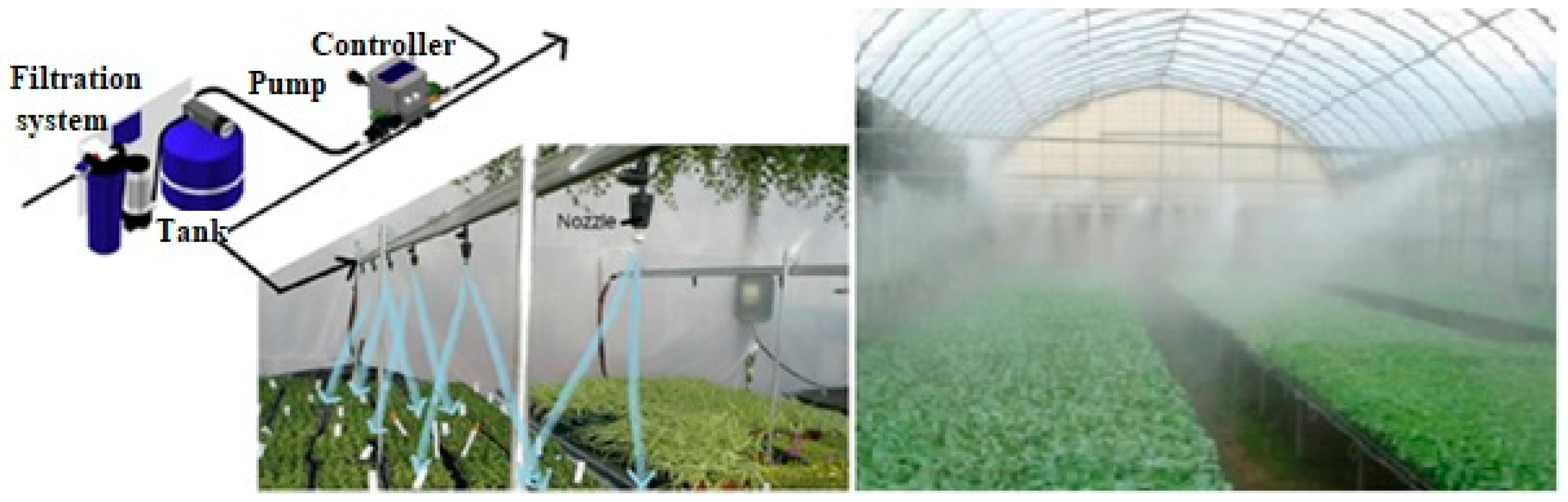 Agronomy 12 00626 g007