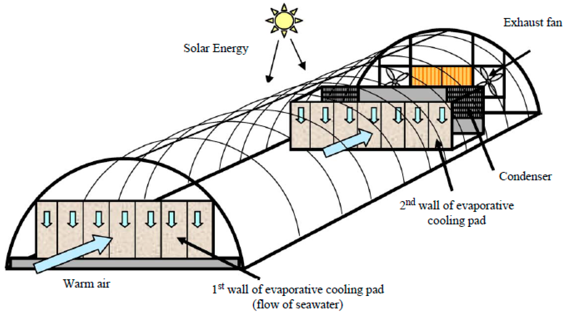 Agronomy 12 00626 g009