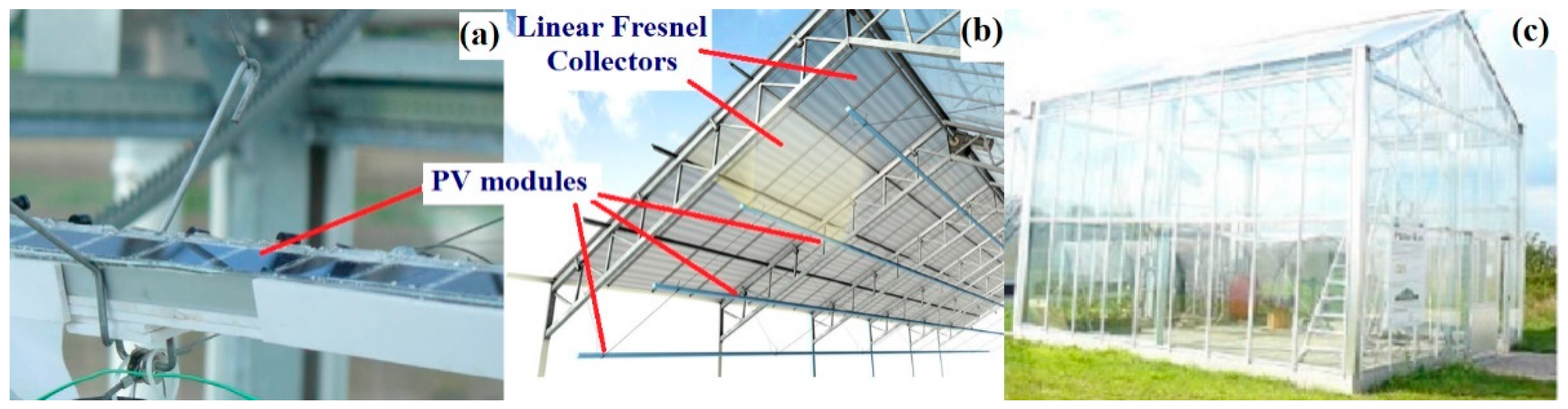 Agronomy 12 00626 g010
