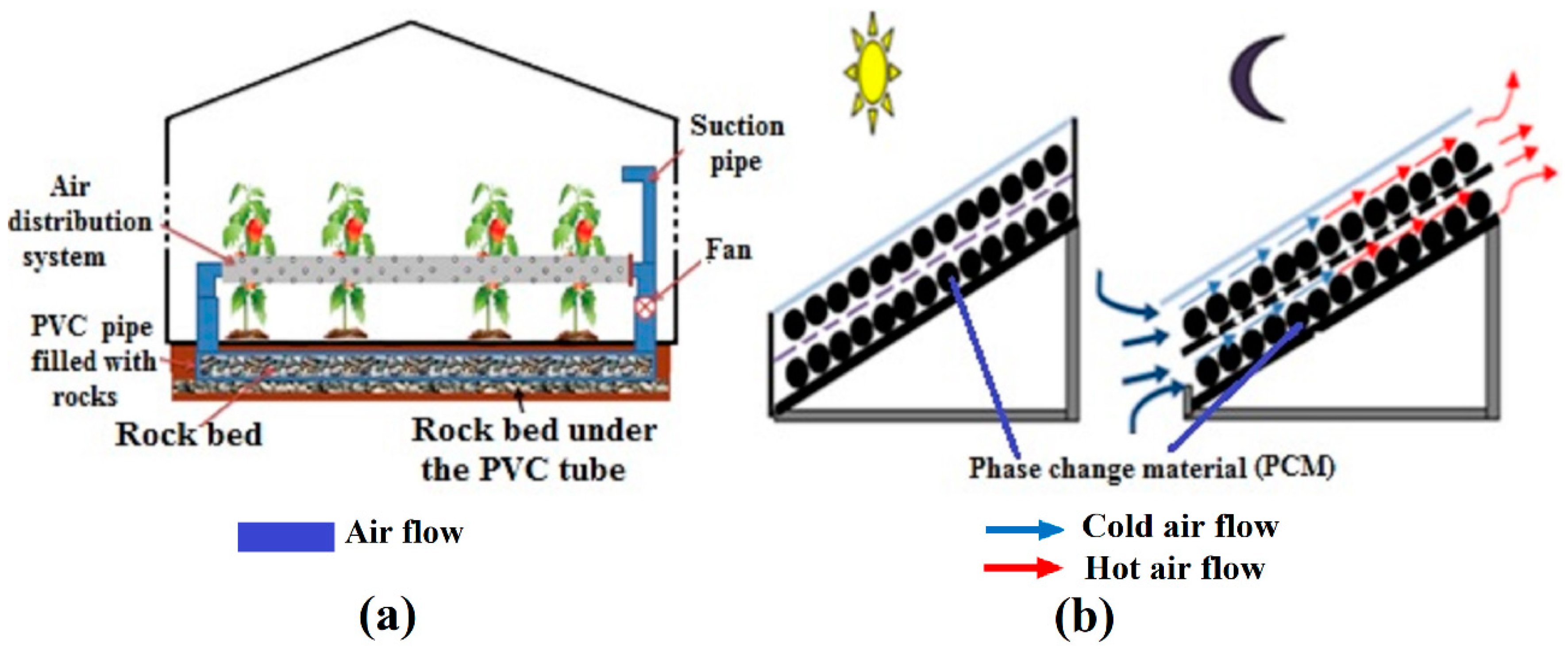 Agronomy 12 00626 g011