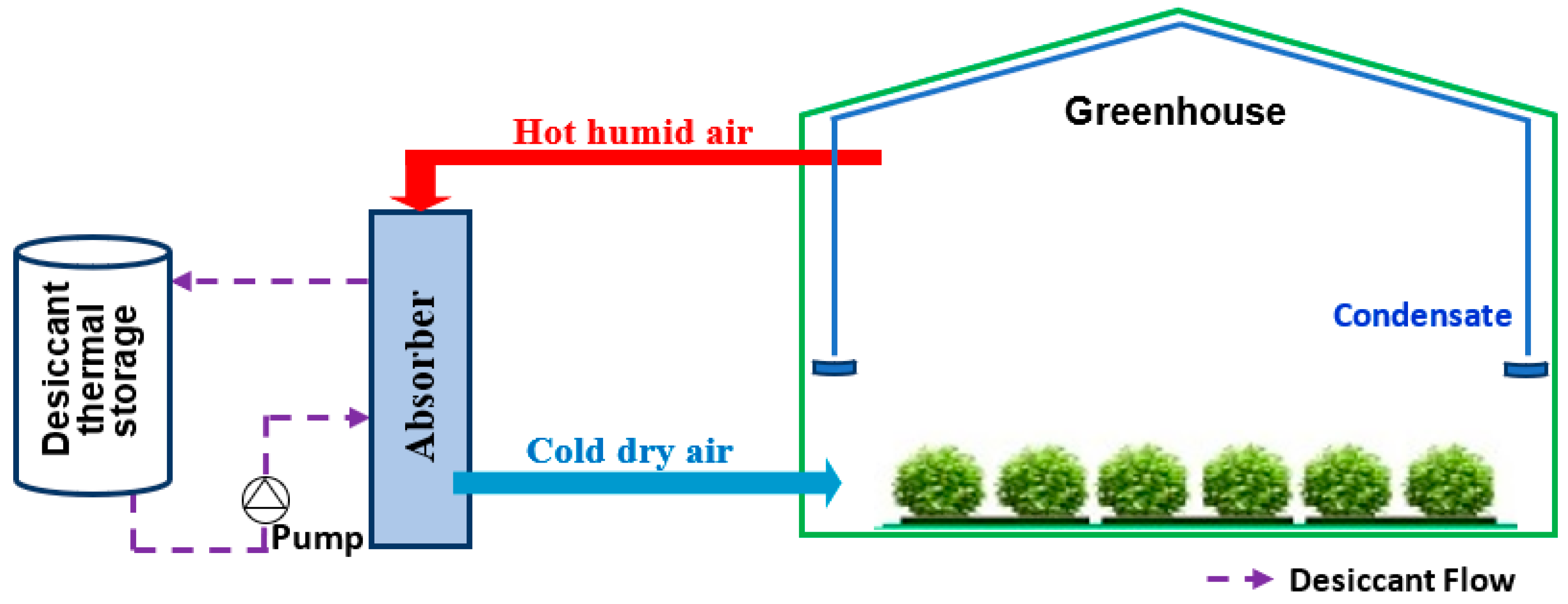 Agronomy 12 00626 g013