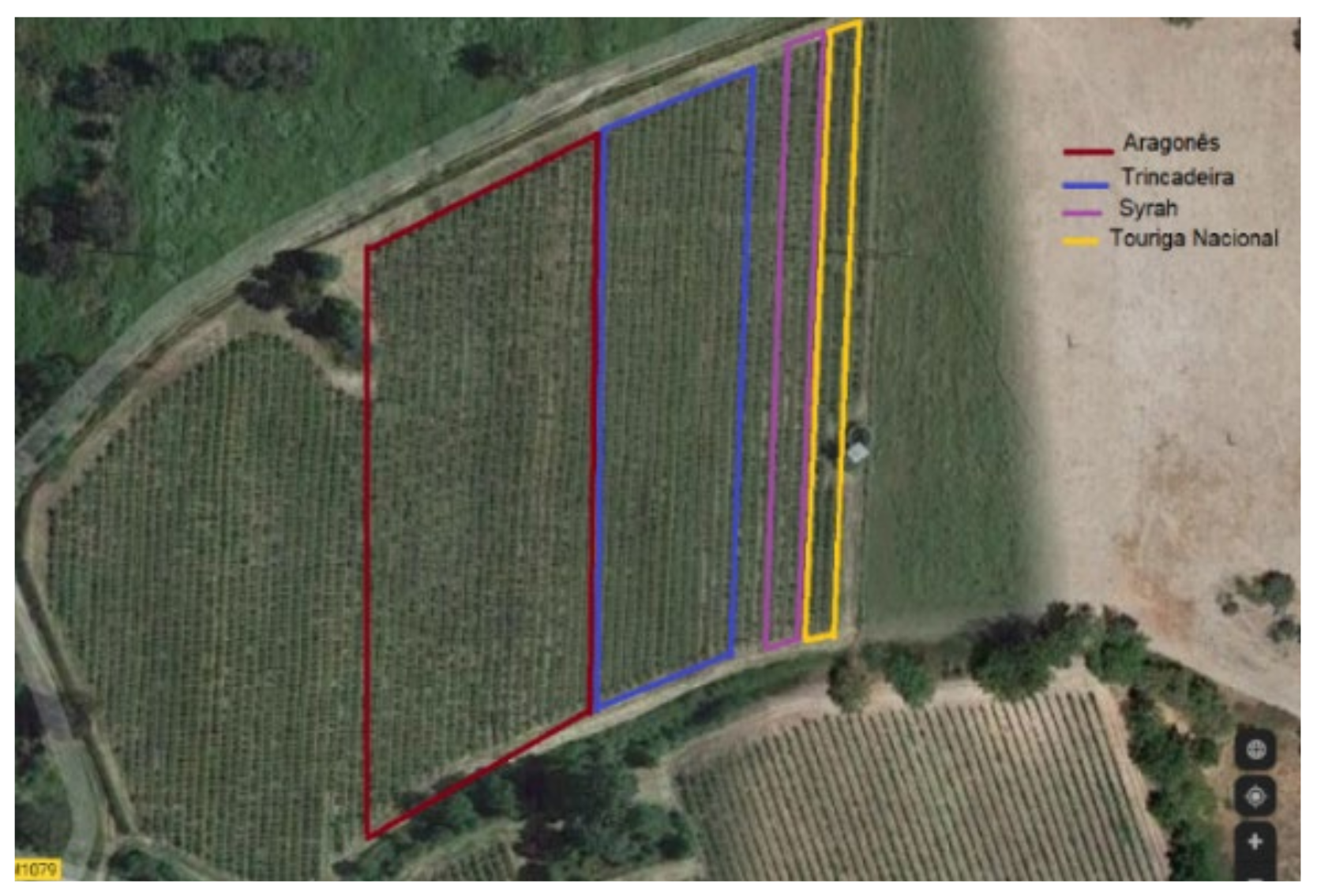 Agronomy 12 00637 g001