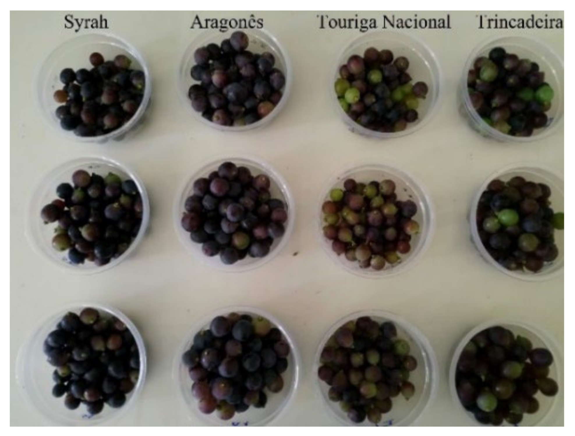 Agronomy 12 00637 g002