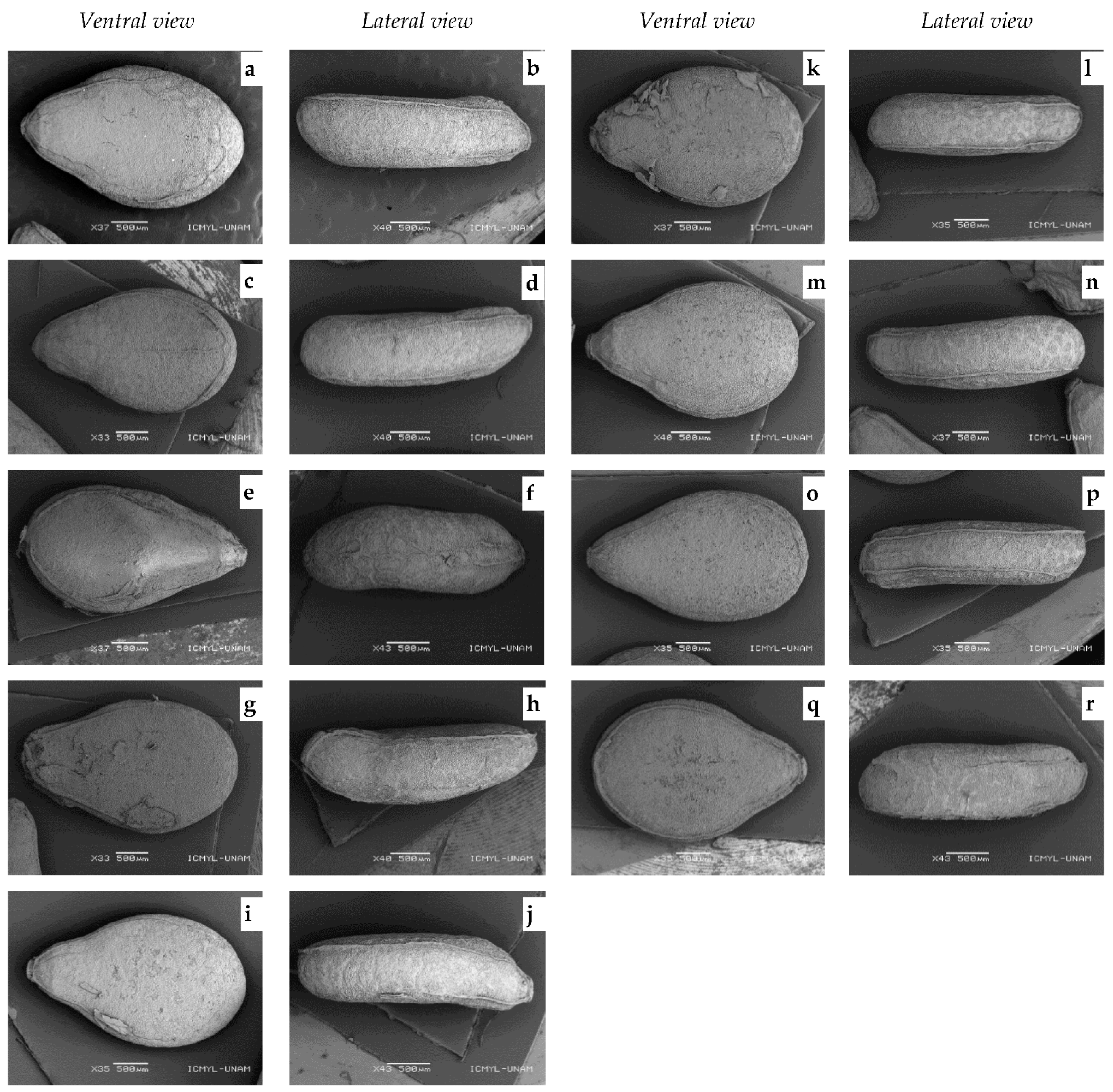 Agronomy 12 00666 g001
