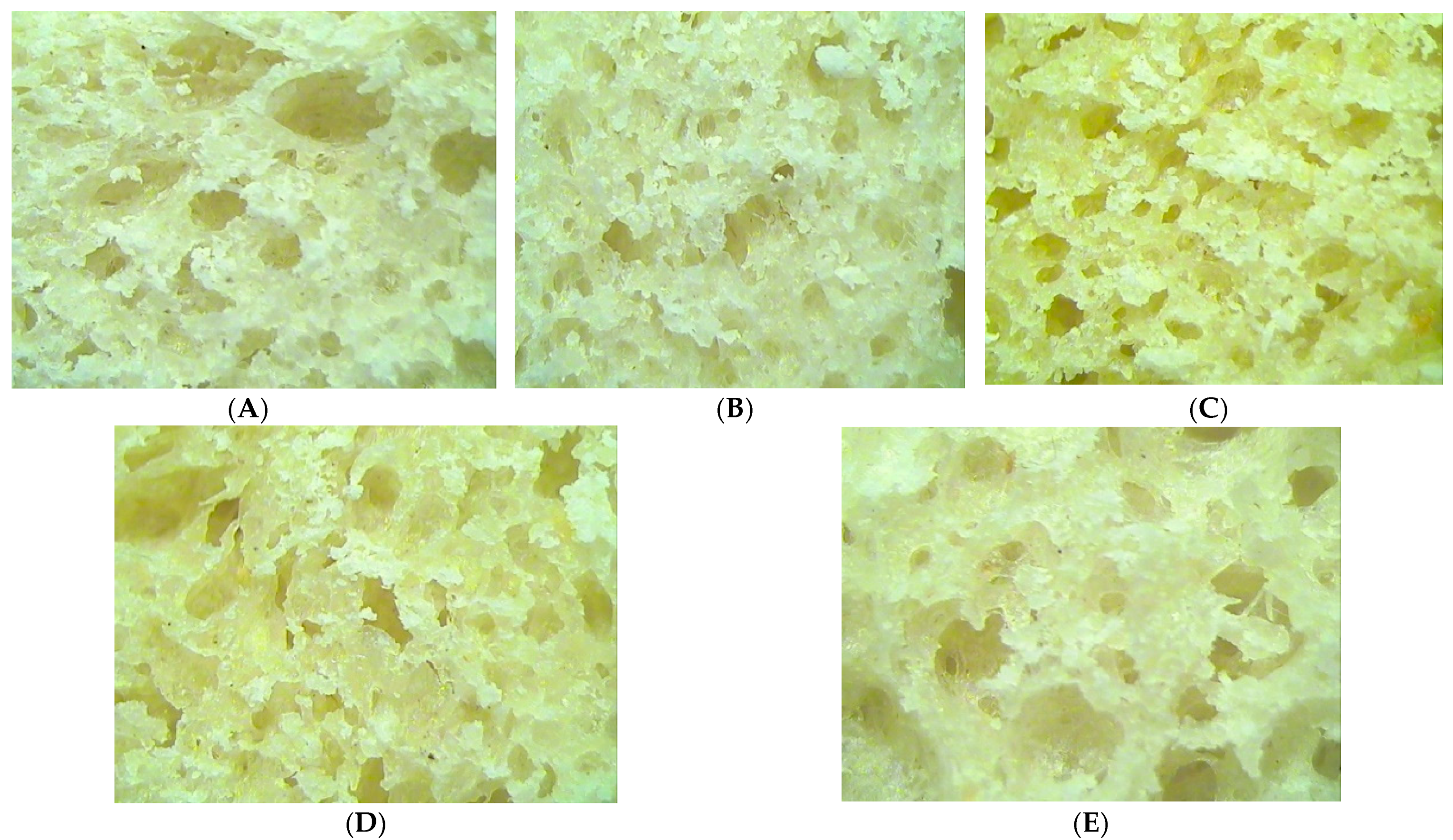Agronomy 12 00667 g004
