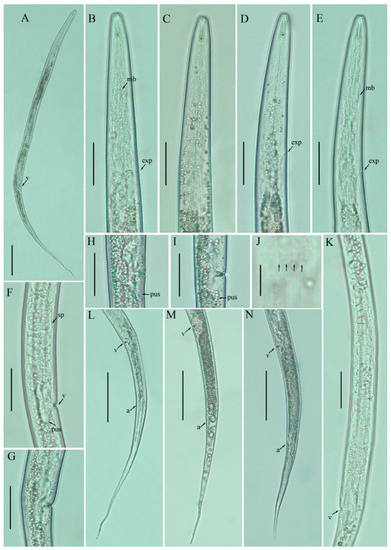 Agronomy 12 00690 g001 550