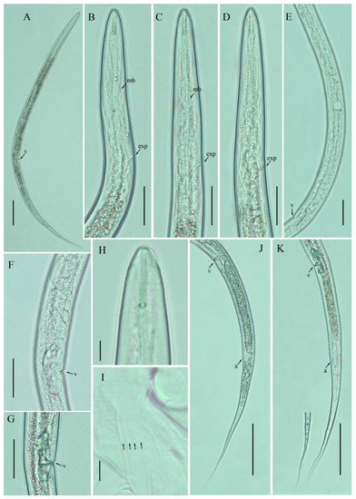 Agronomy 12 00690 g002 550