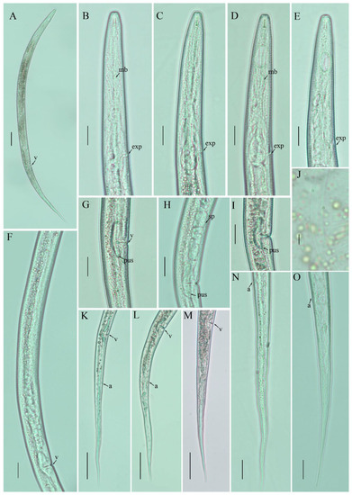 Agronomy 12 00690 g003 550