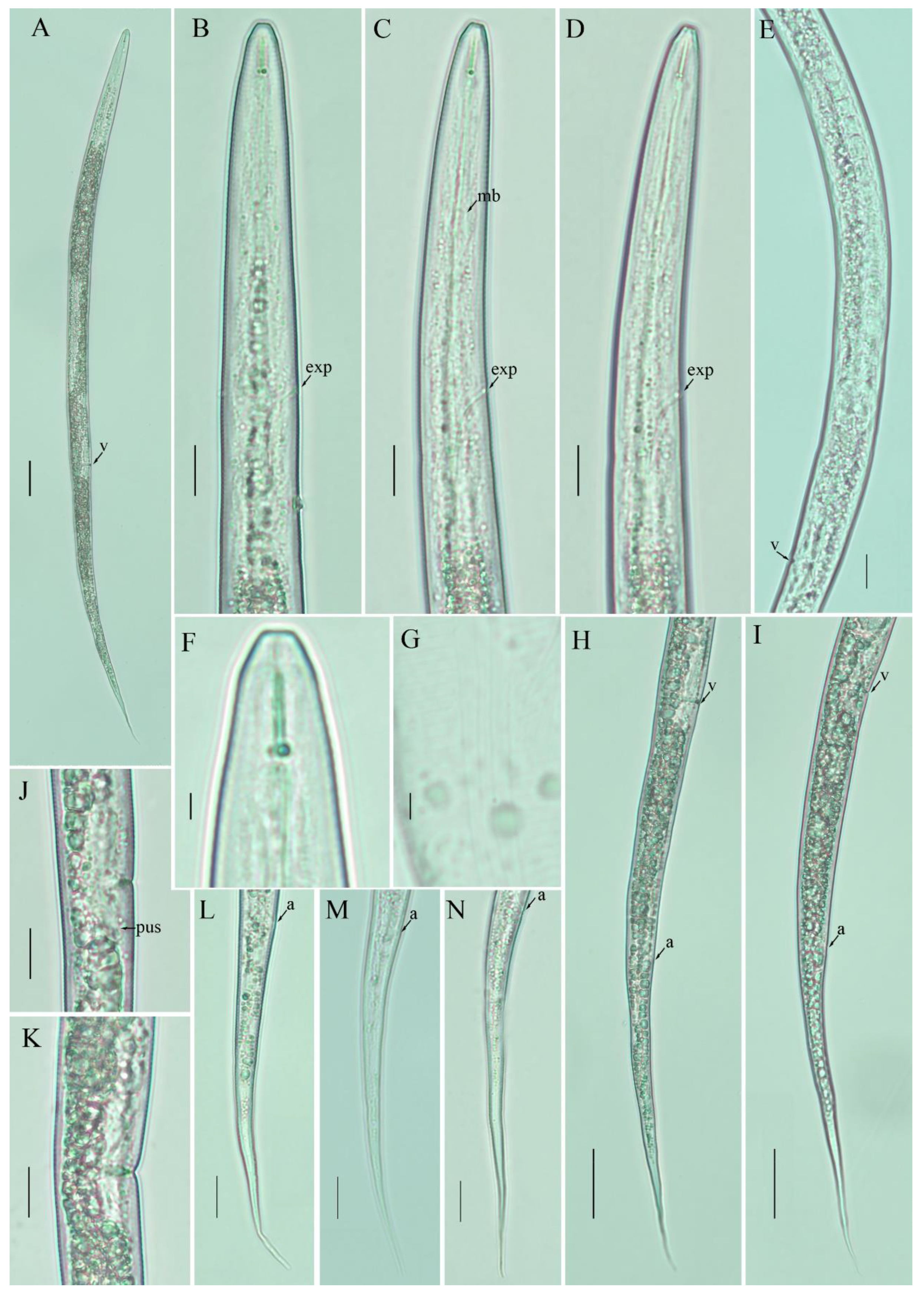 Agronomy 12 00690 g004