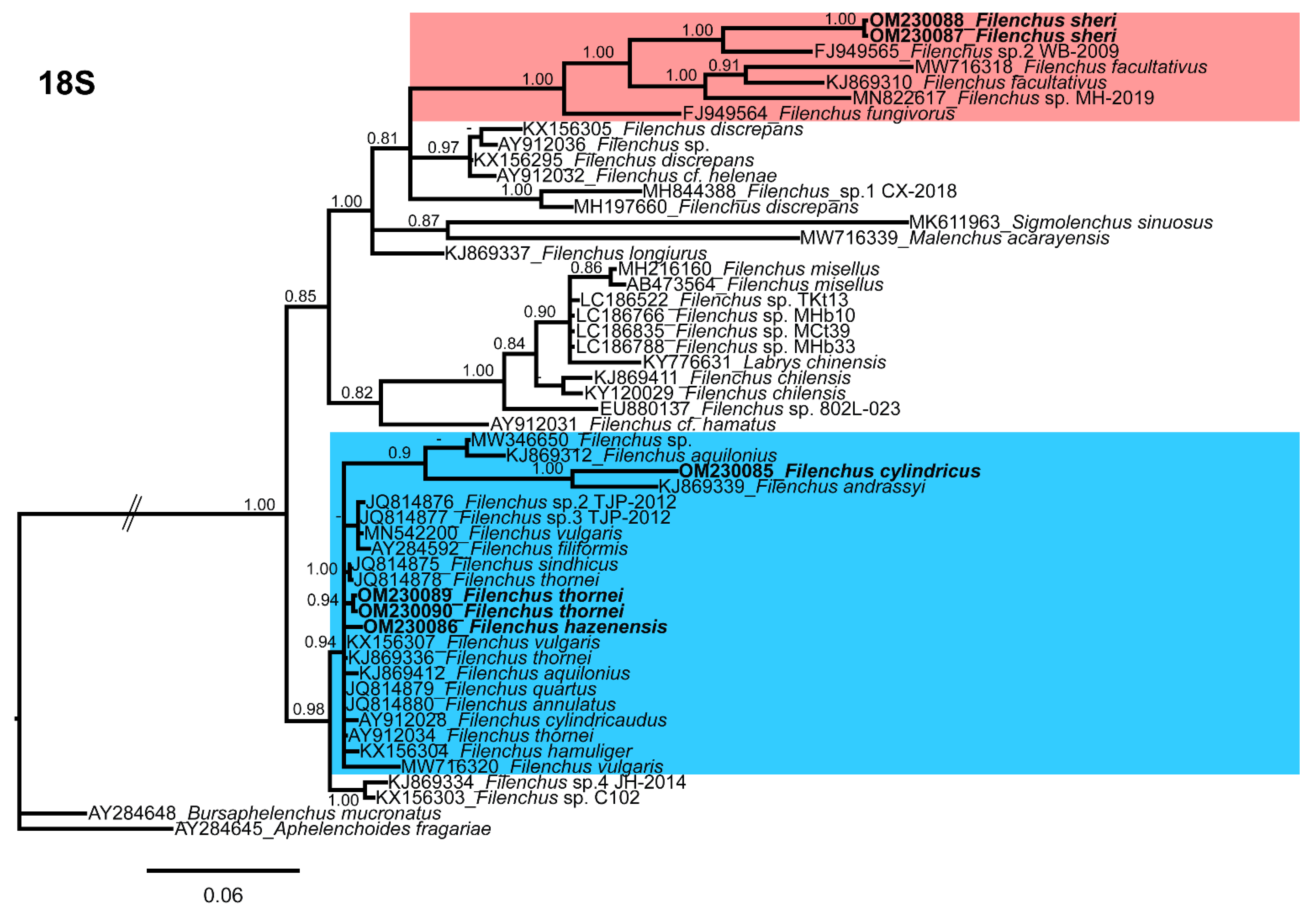 Agronomy 12 00690 g005