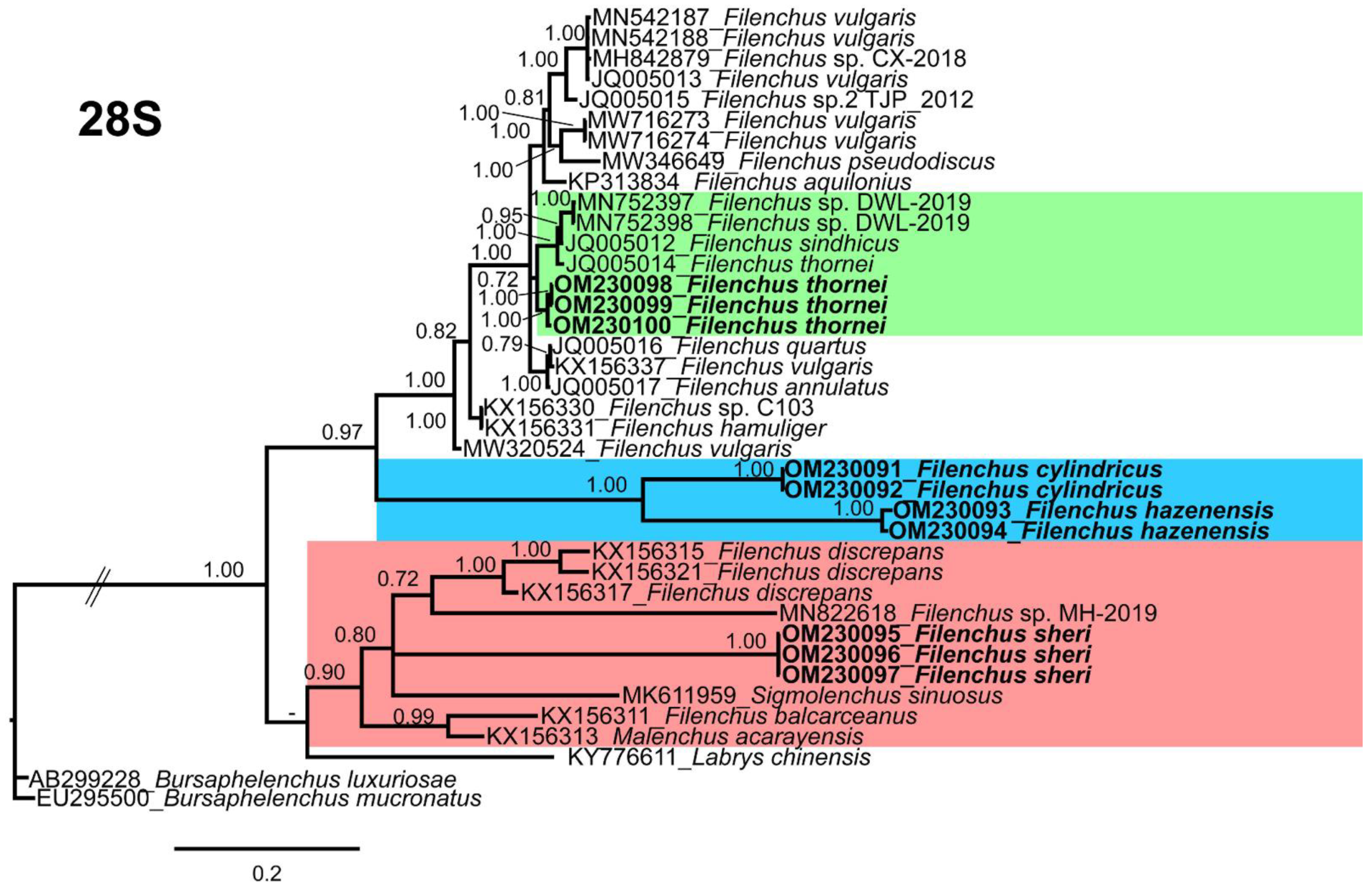 Agronomy 12 00690 g006