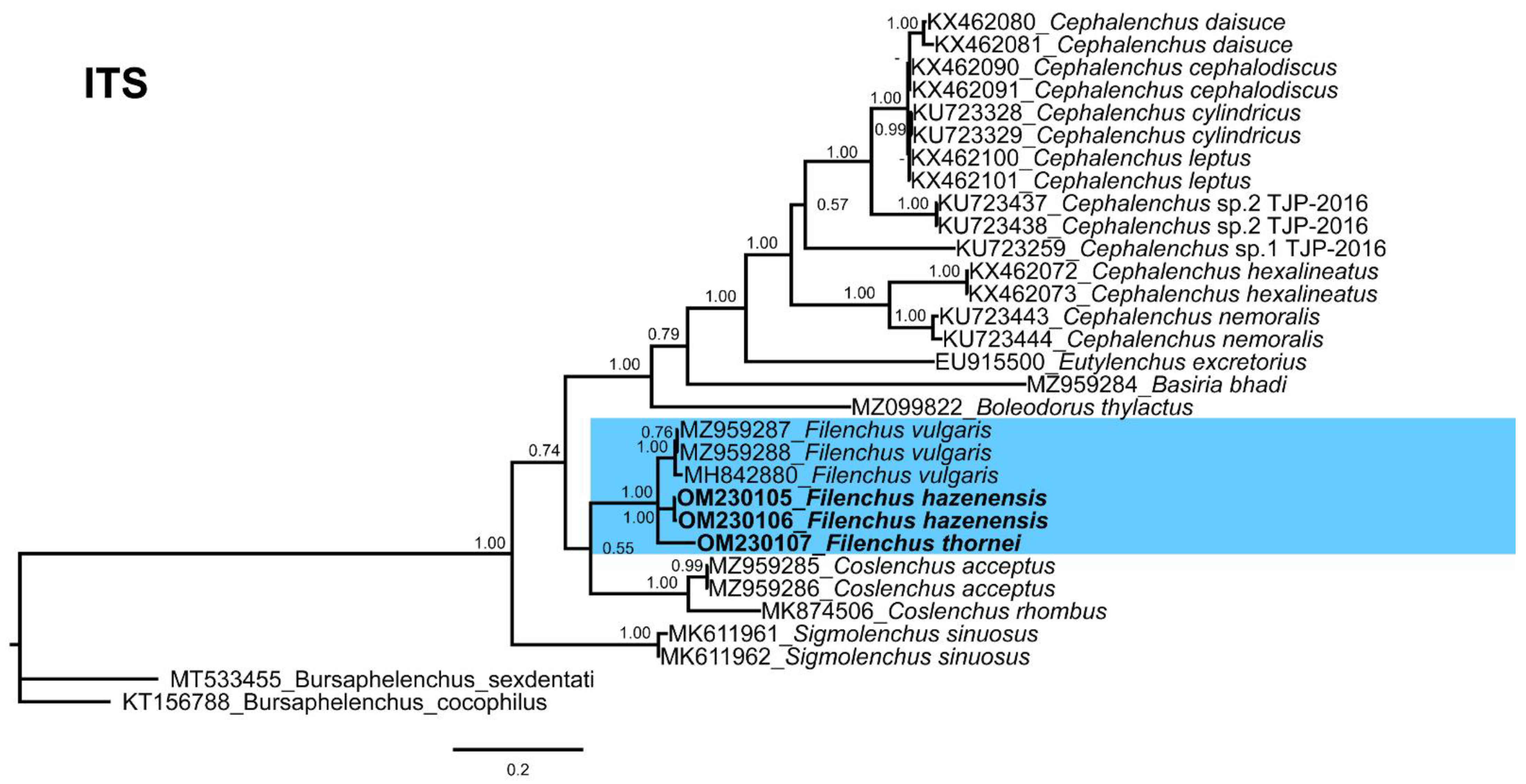 Agronomy 12 00690 g007