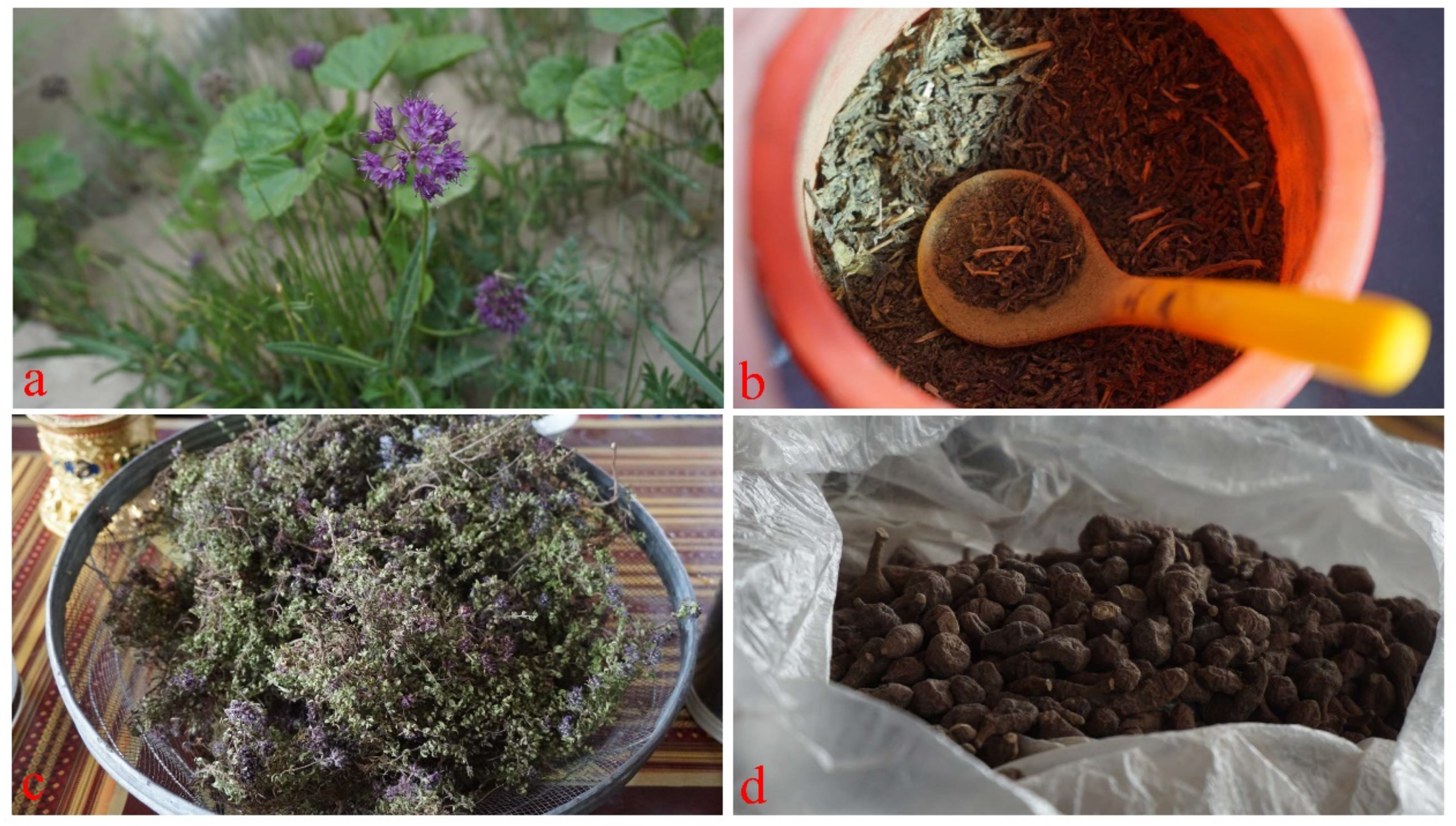 Agronomy 12 00704 g005