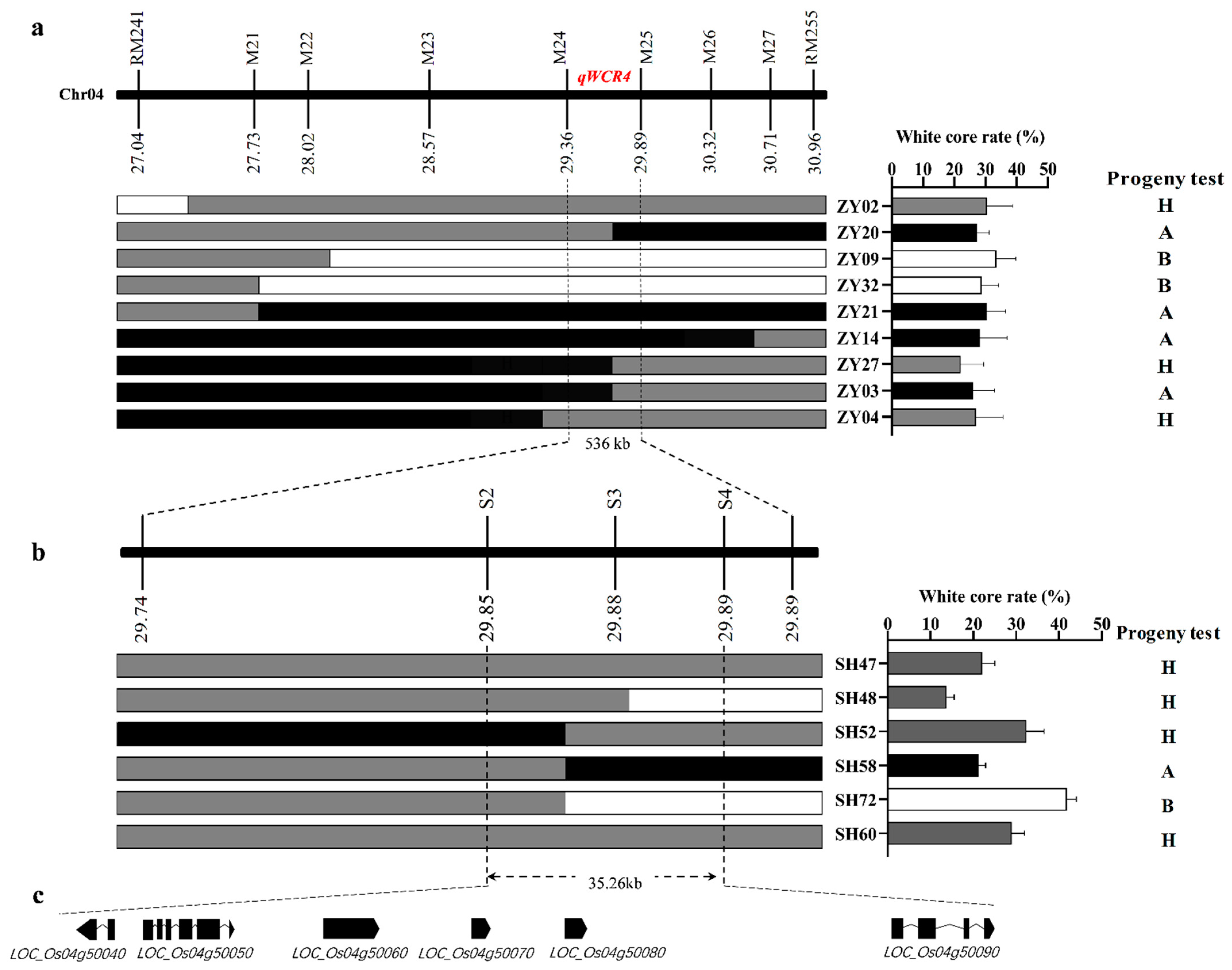 Agronomy 12 00706 g002 Agronomy 12 00706 g002