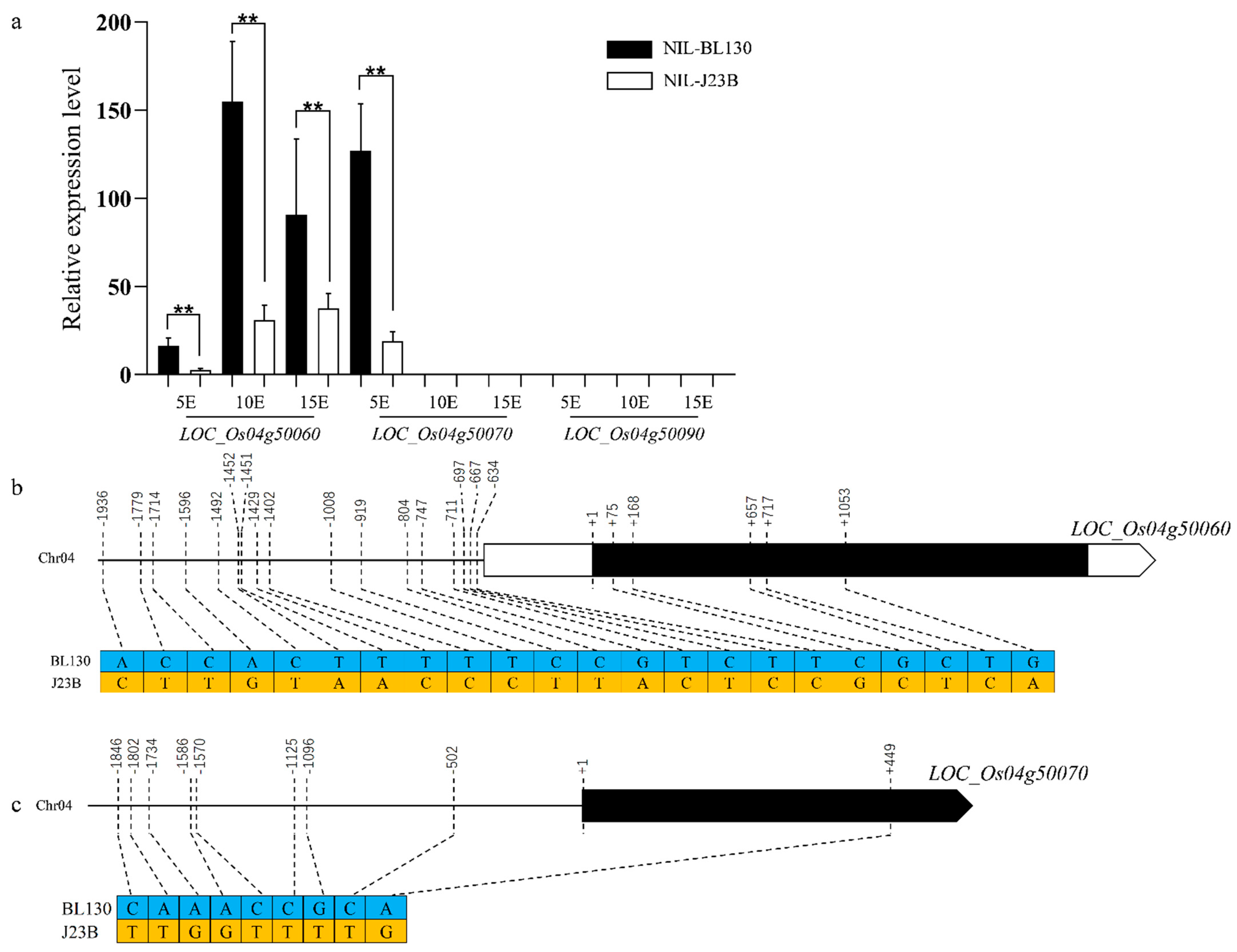 Agronomy 12 00706 g003 Agronomy 12 00706 g003