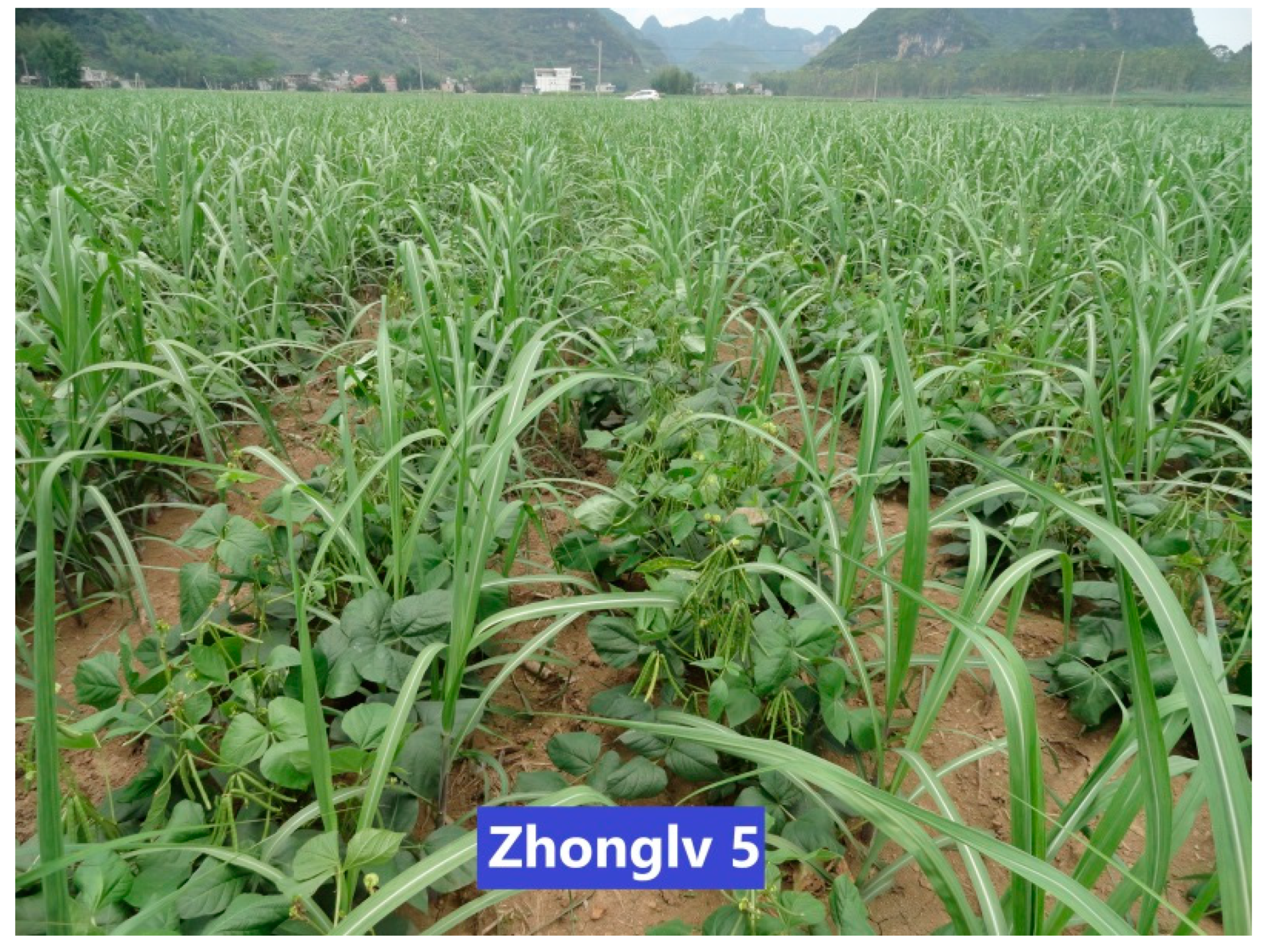 Agronomy 12 00707 g001b