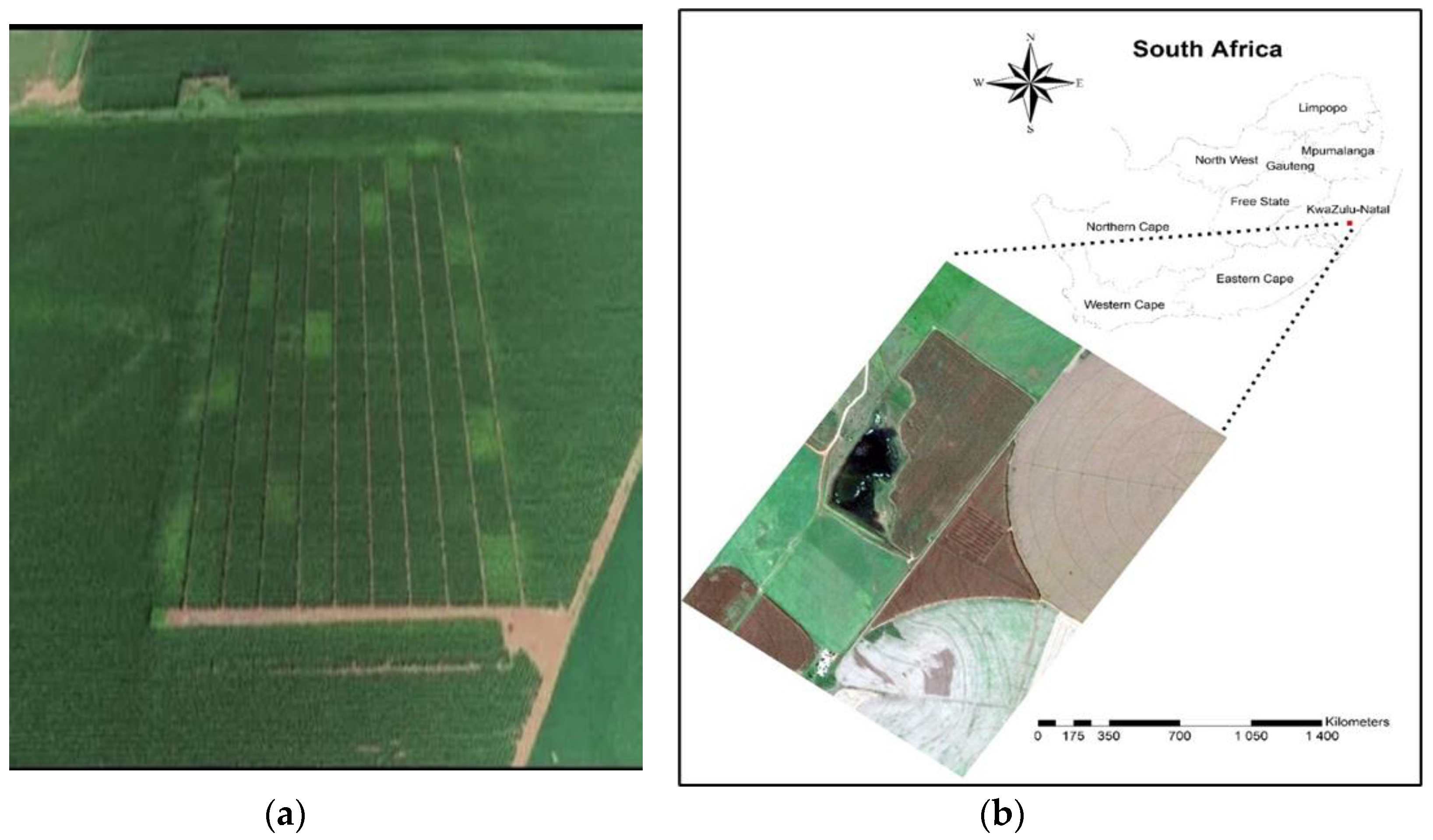 Agronomy 12 00722 g001 Agronomy 12 00722 g001